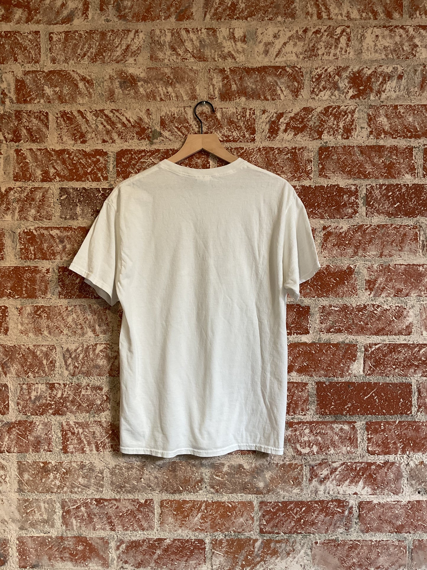Vintage Tee: Hawaii State Bird
