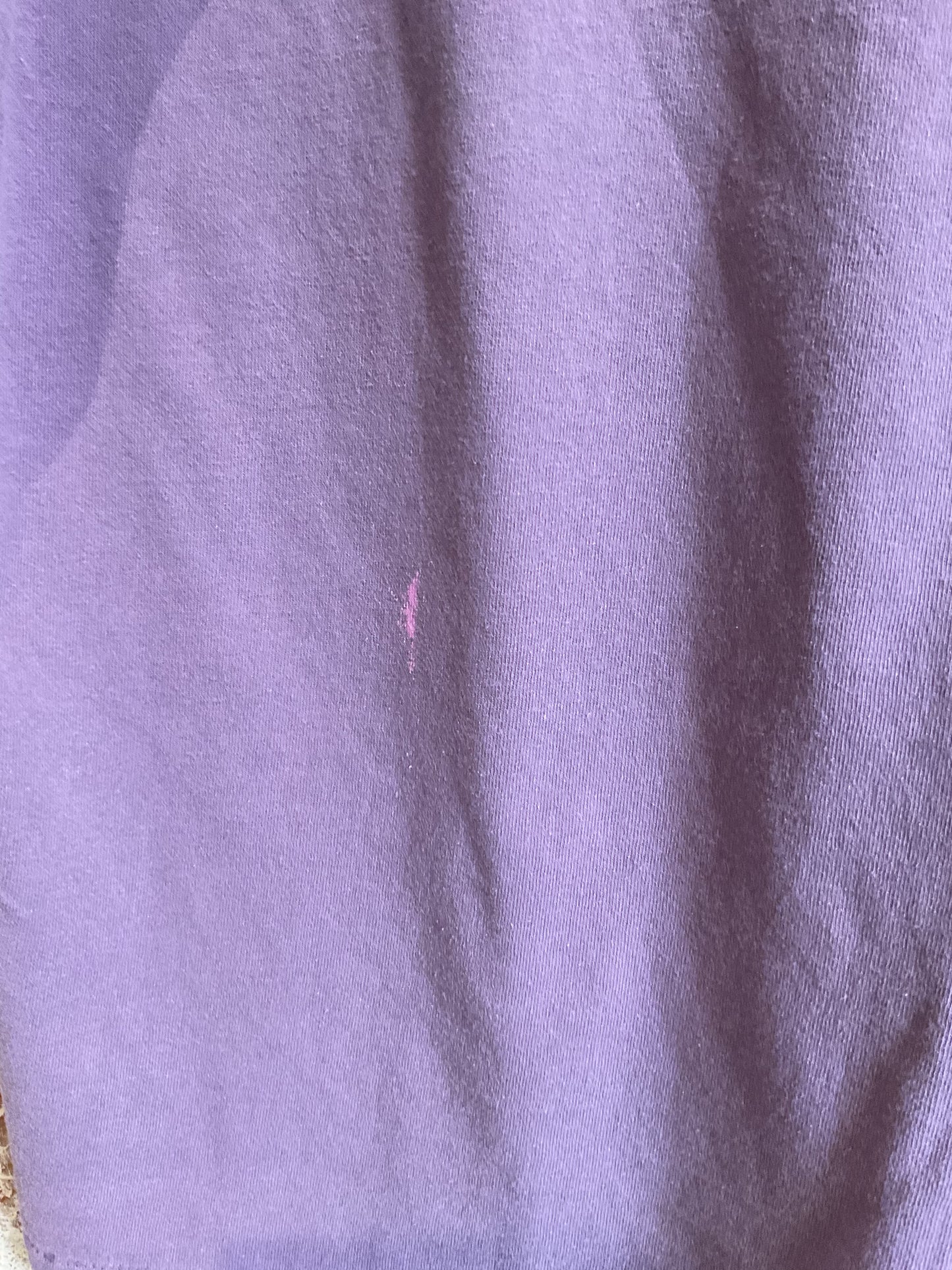 Vintage Tee: Petrified Forest, AZ