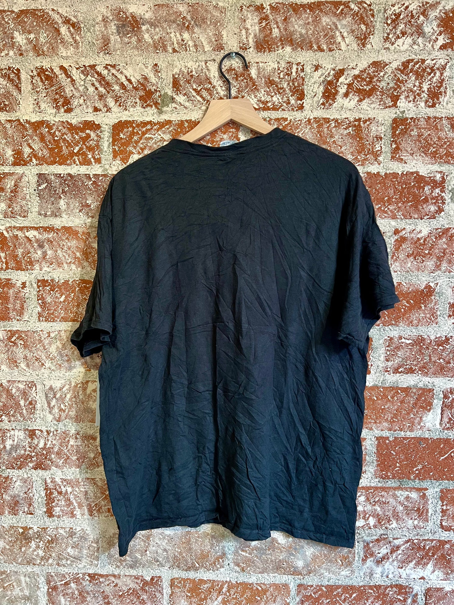Vintage Tee: Alaska Brown Bear Face