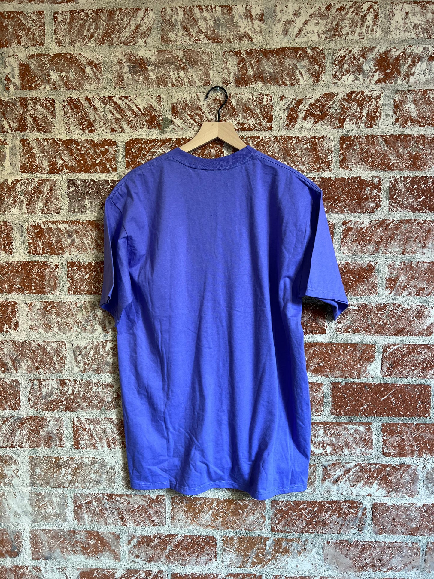 Vintage Tee: Montana Purple Sky