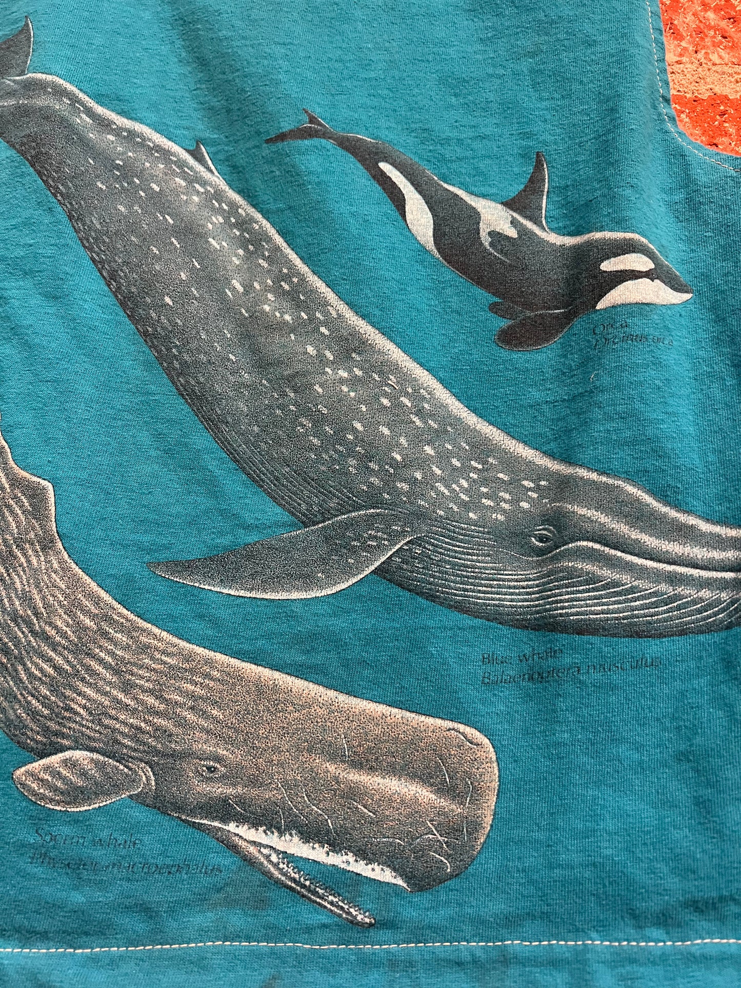 Remade Tank S: Monterey Bay Whalefest 1988
