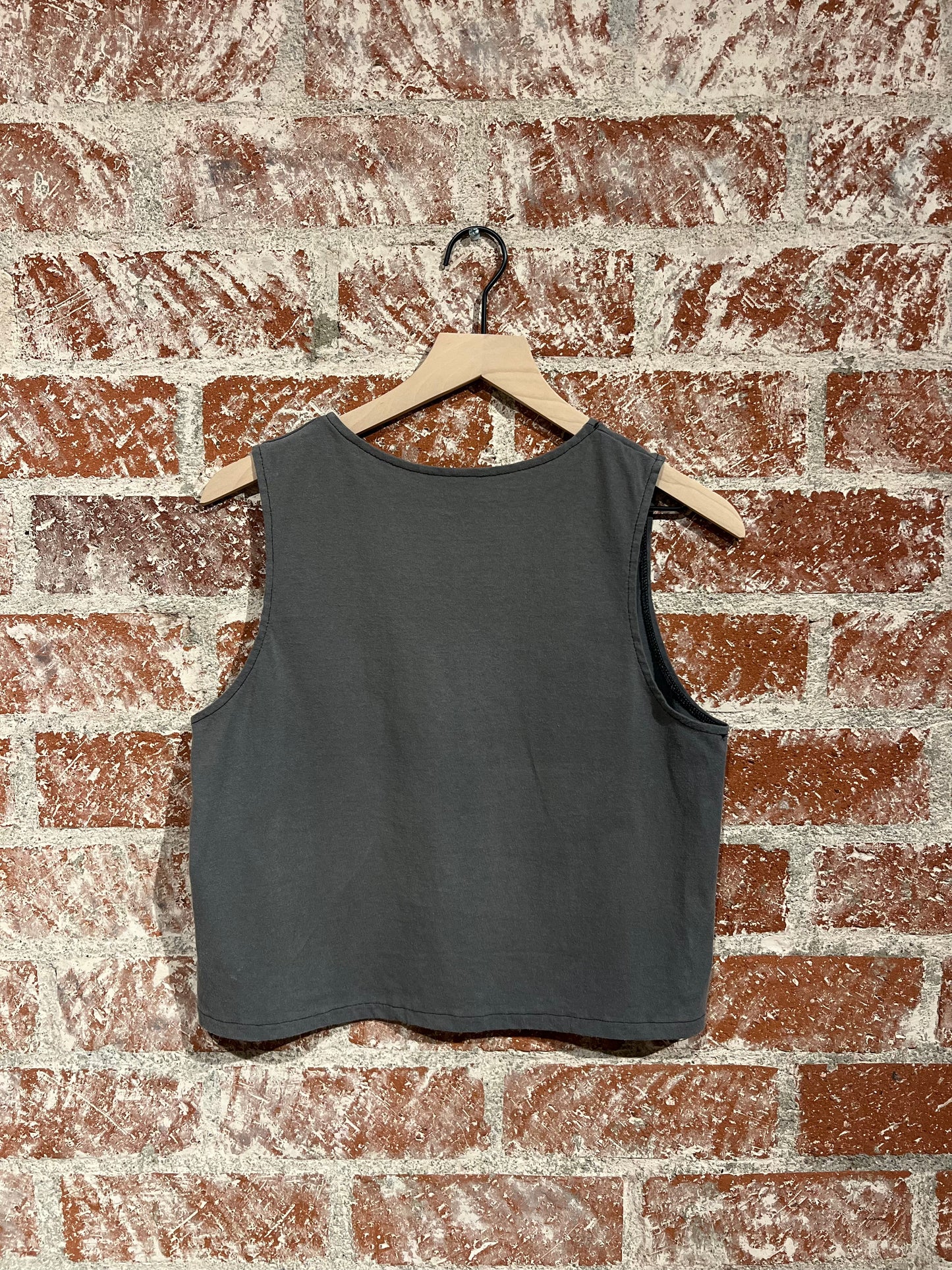 Remade Tank M: Yellowstone Today and Tomorrow