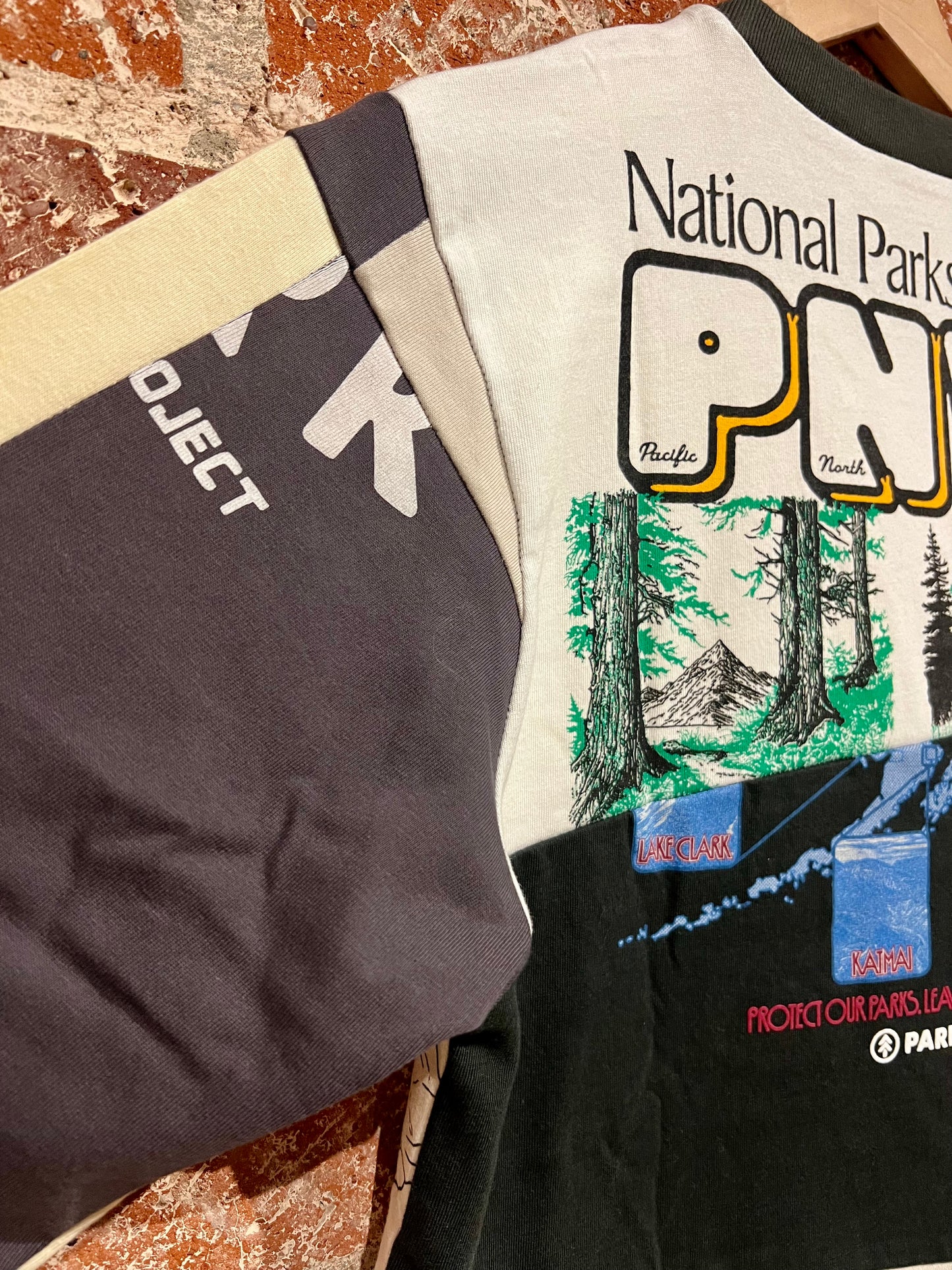 Remade Tee XXS: PNW Parks Splice