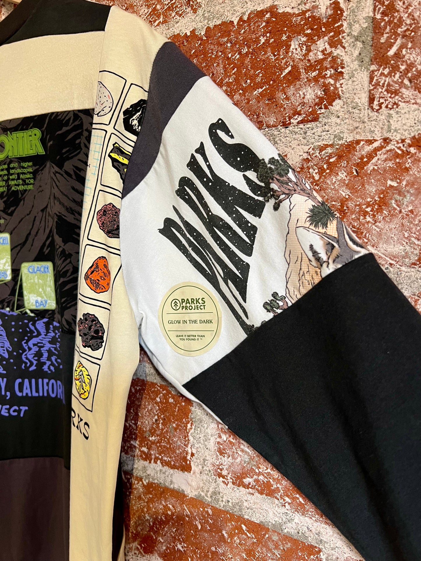Remade Tee M: Nature Club Alaska Splice