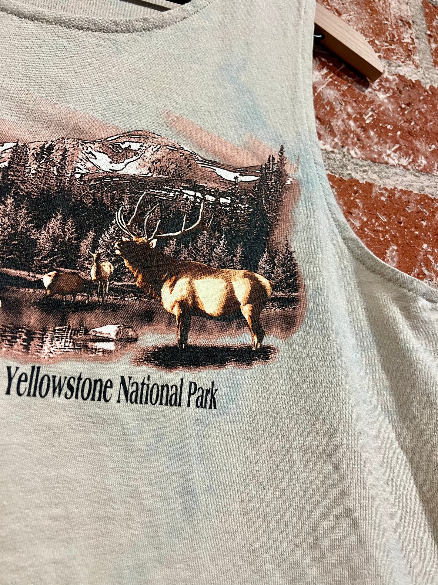 Remade Tank S: Yellowstone Range