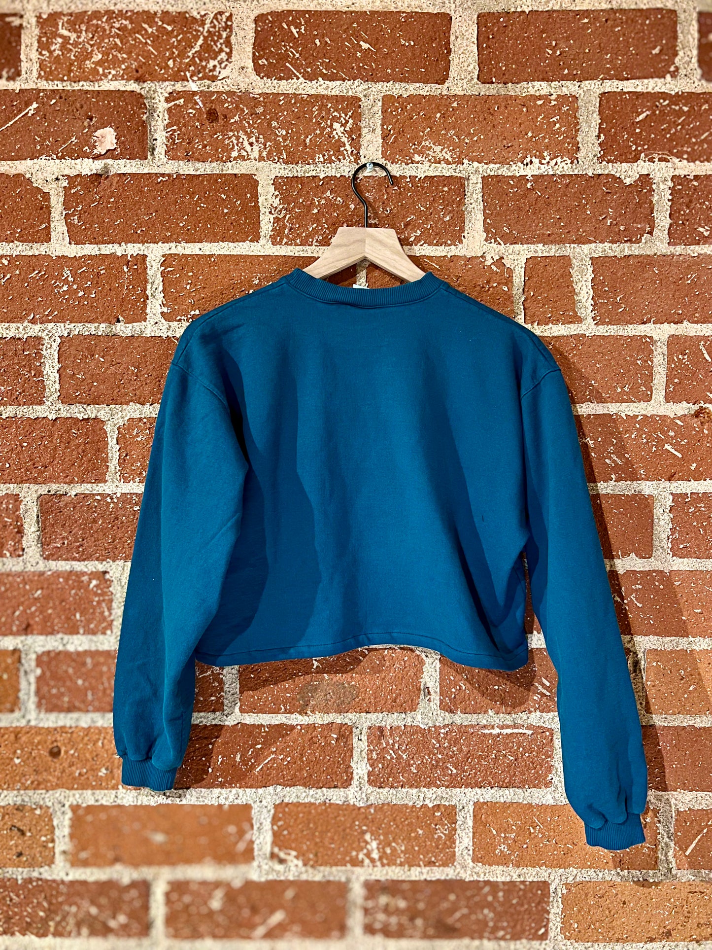 Vintage Cropped Crew M: Denver Animals