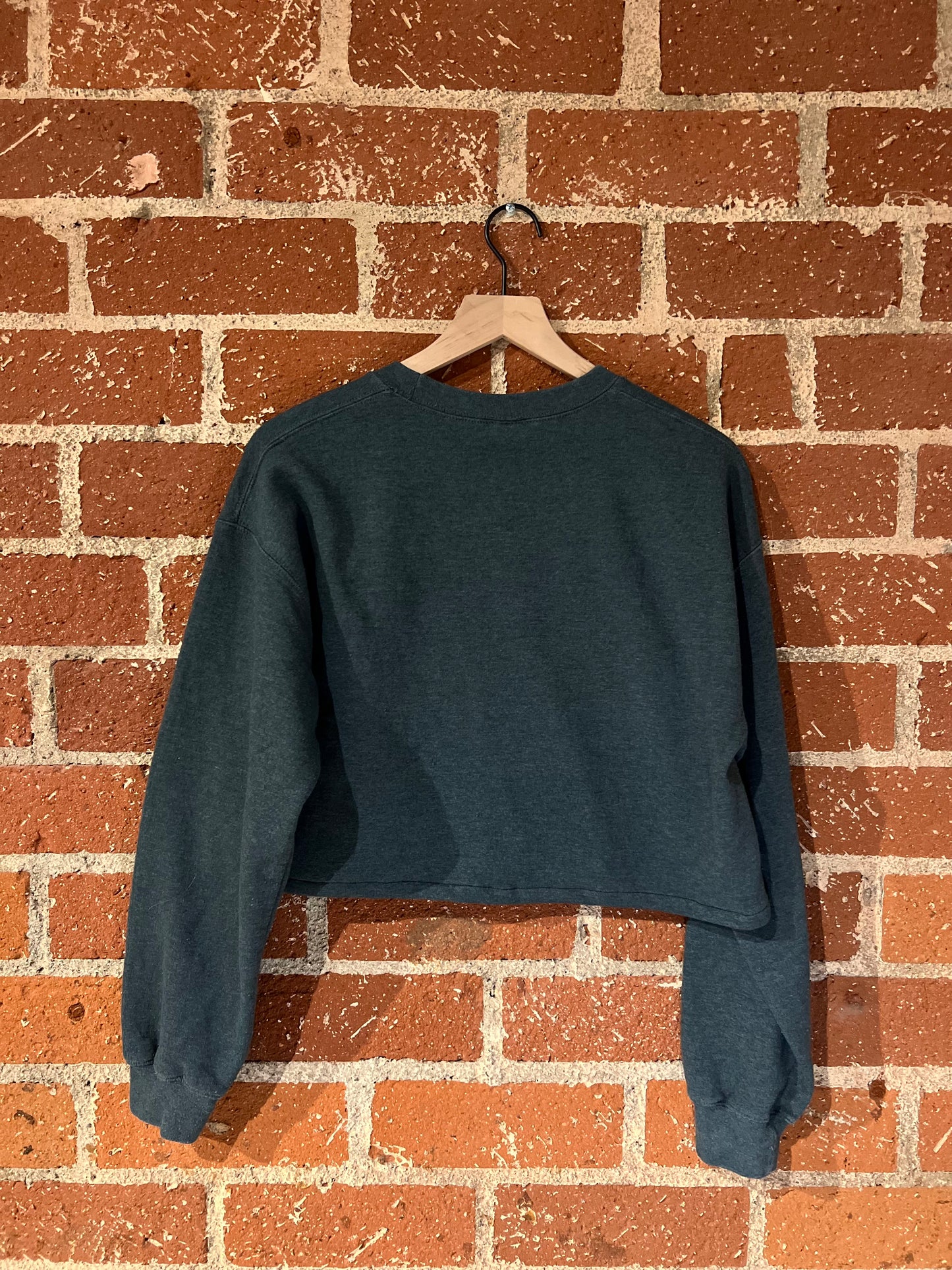Vintage Cropped Crew M: Sedona, Arizona