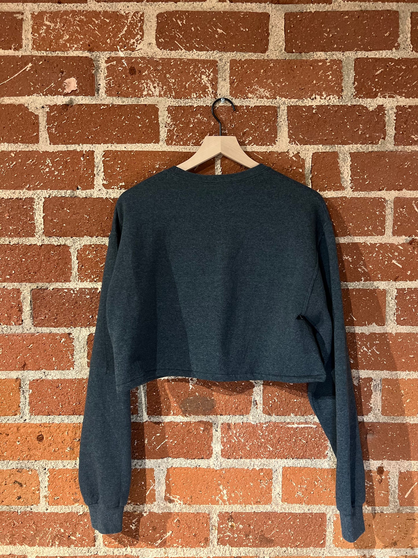 Vintage Cropped Crew M: Grand Canyon