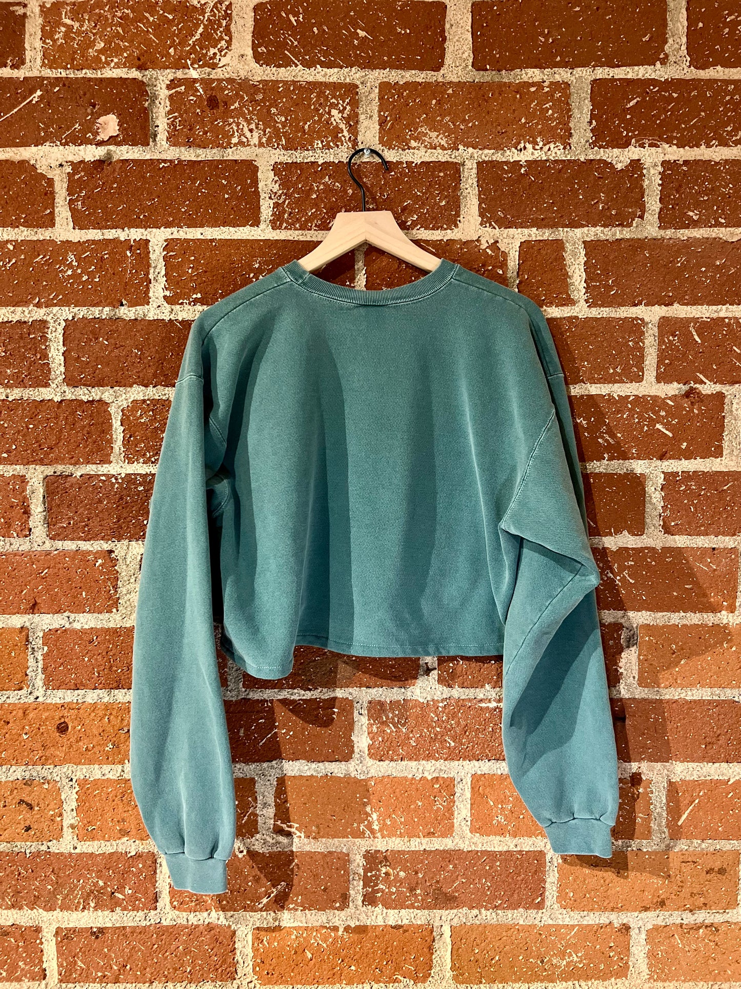 Vintage Cropped Crew L: Paradise Valley, Montana