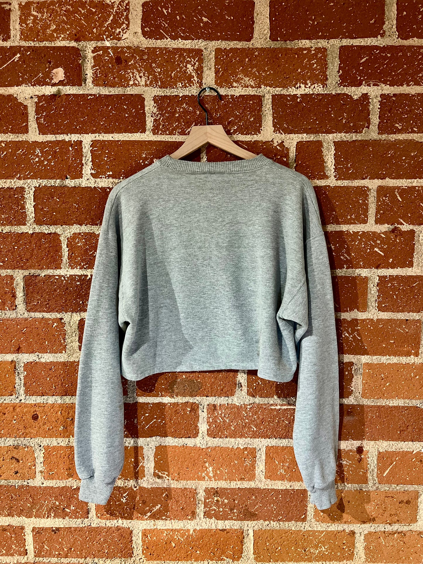 Vintage Cropped Crew L: Bald Eagle