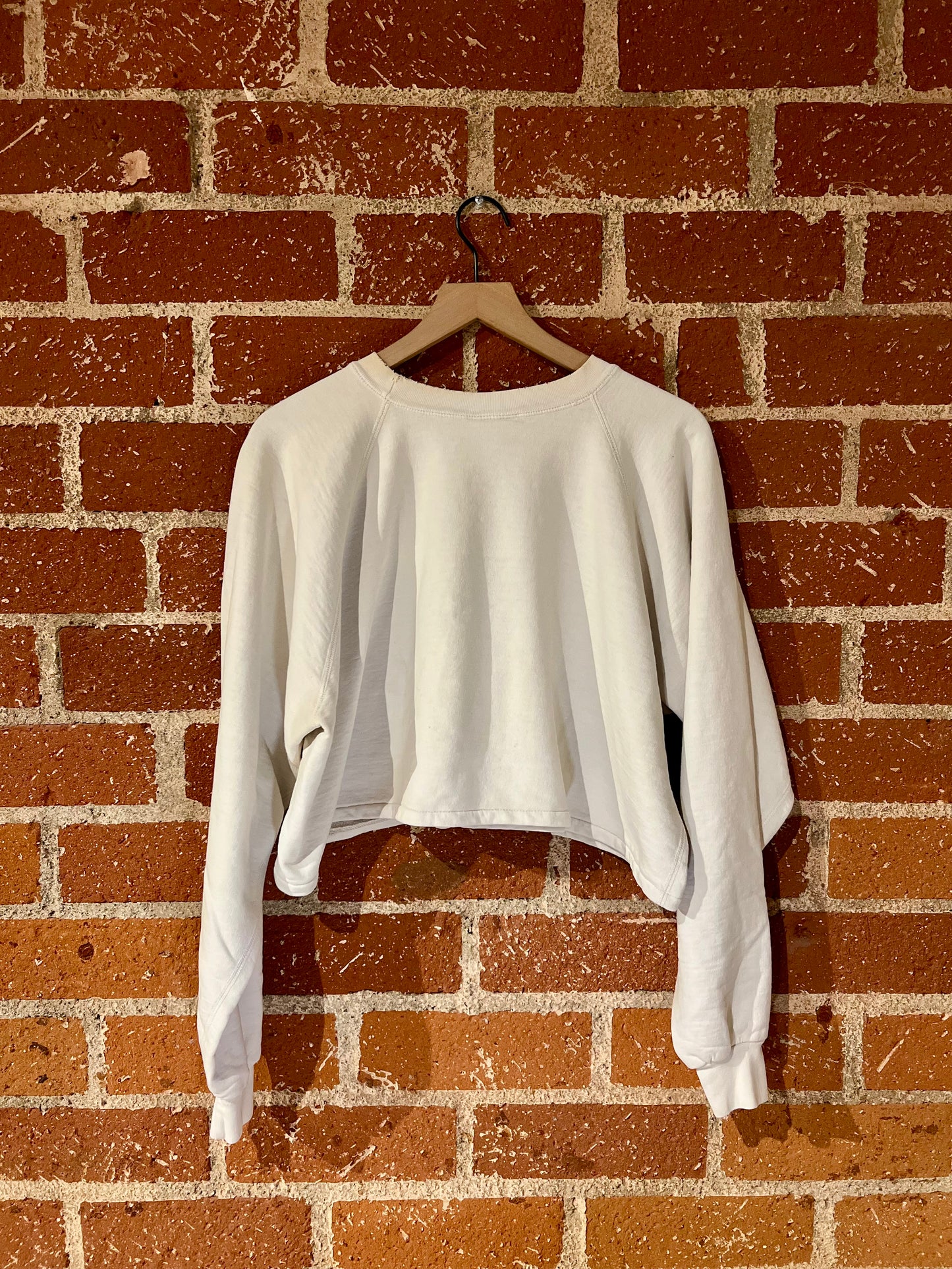 Vintage Cropped Crew XL: American Eagle