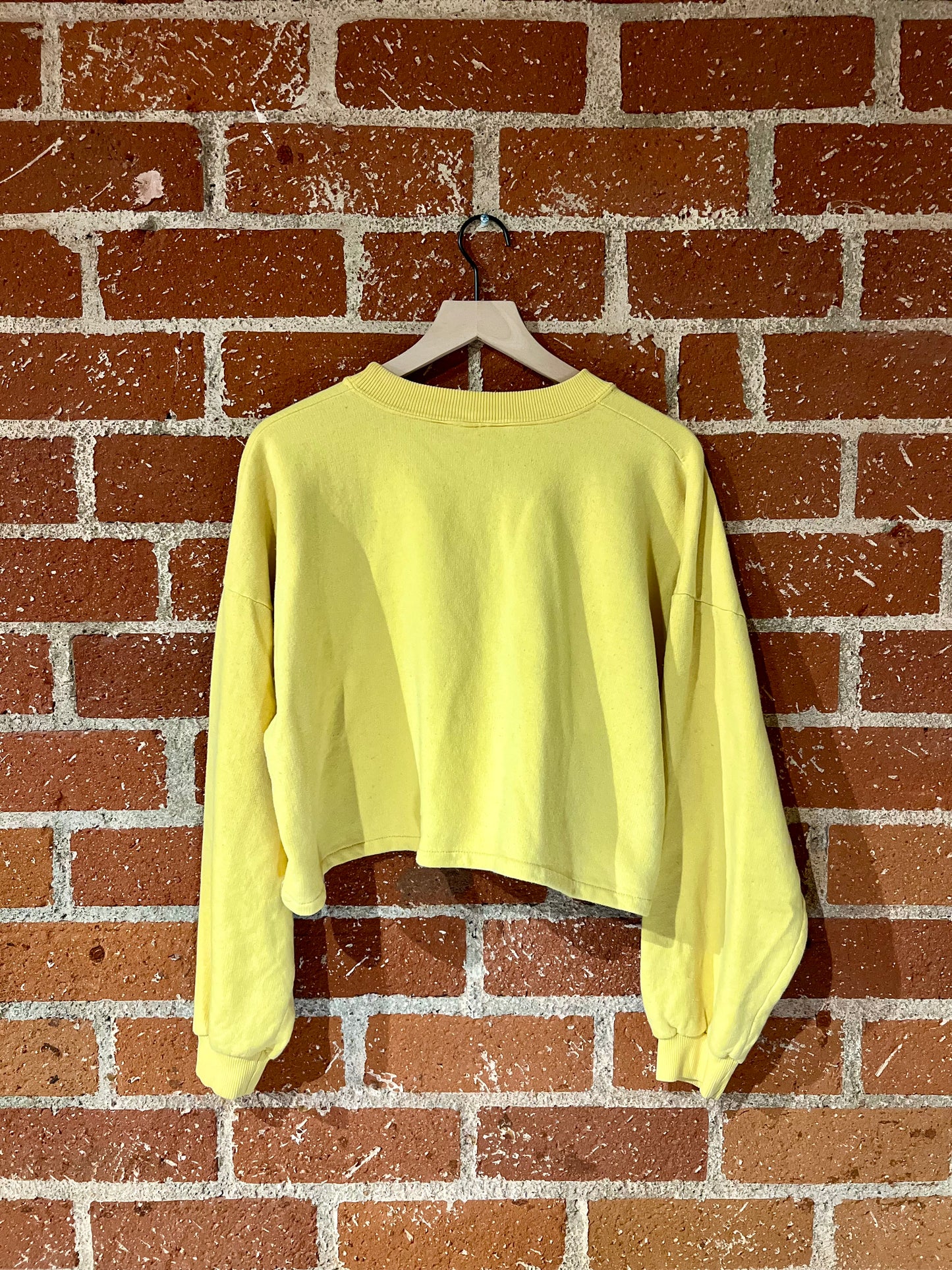 Vintage Cropped Crew XL: Arizona Sun