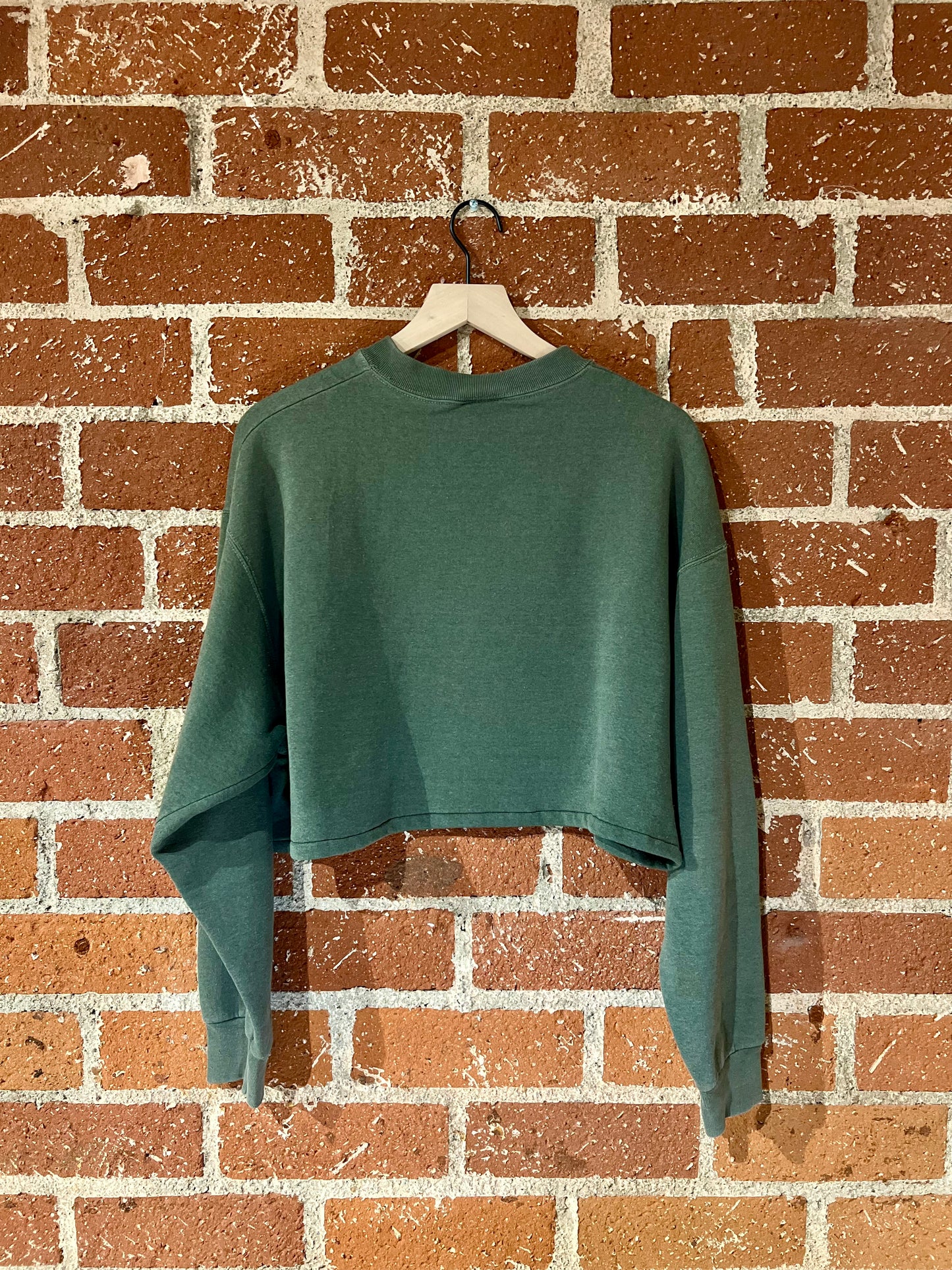 Vintage Cropped Crew XL: Duck Flight