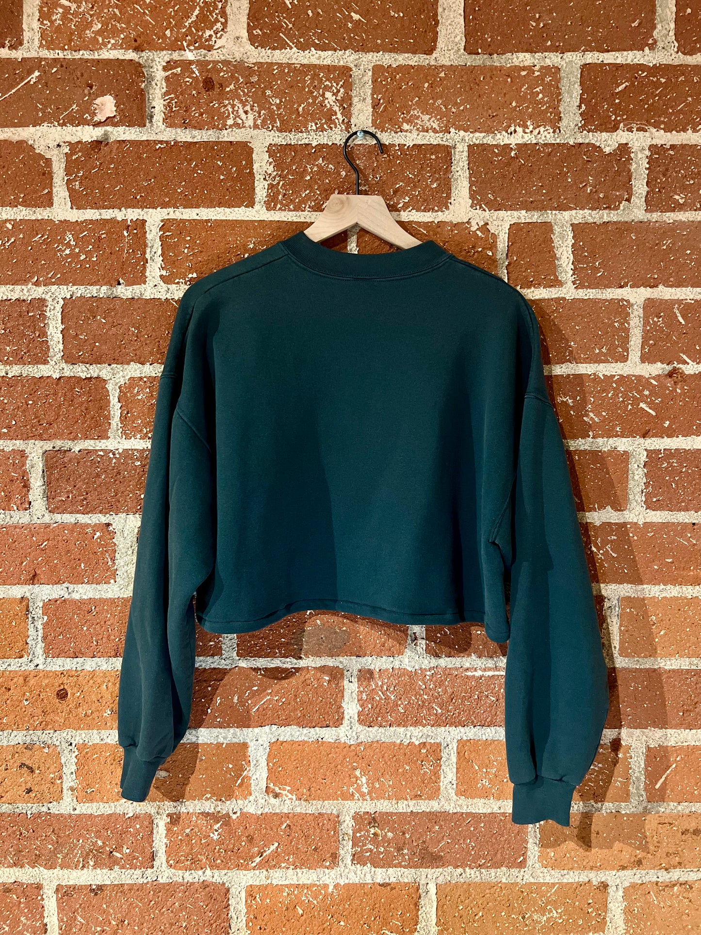 Vintage Cropped Crew XL: The Nature Conservancy