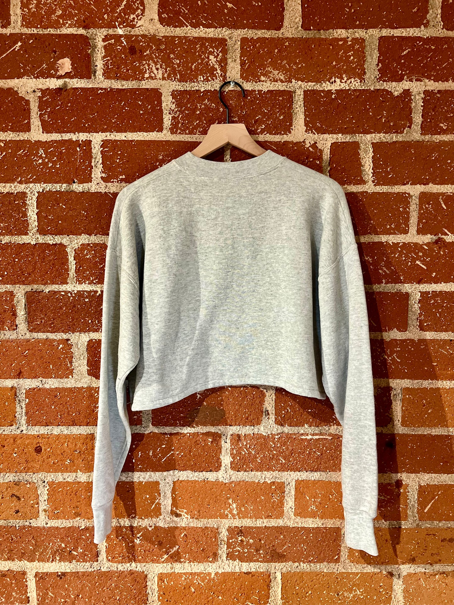 Vintage Cropped Crew XL: American Outdoors