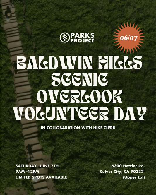 Baldwin Hills Scenic Overlook Volunteer Day