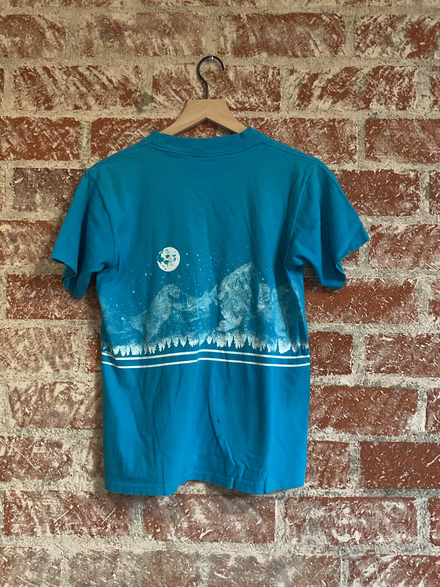 Vintage Tee: Grand Tetons, Jackson Hole