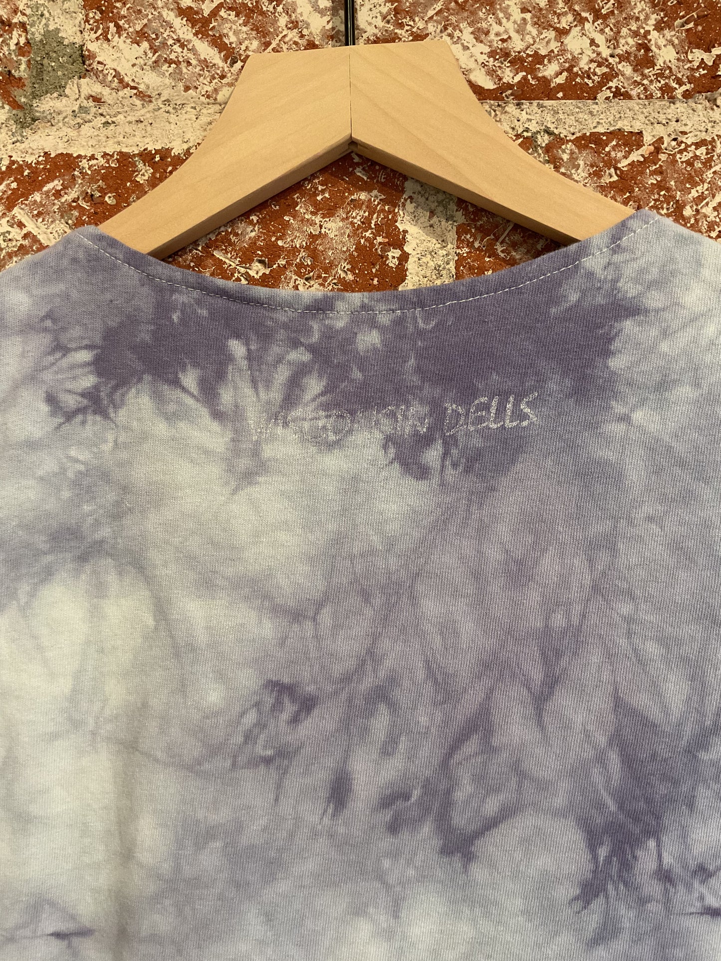 Remade: Recut Tank: Wisconsin Dells Butterfly