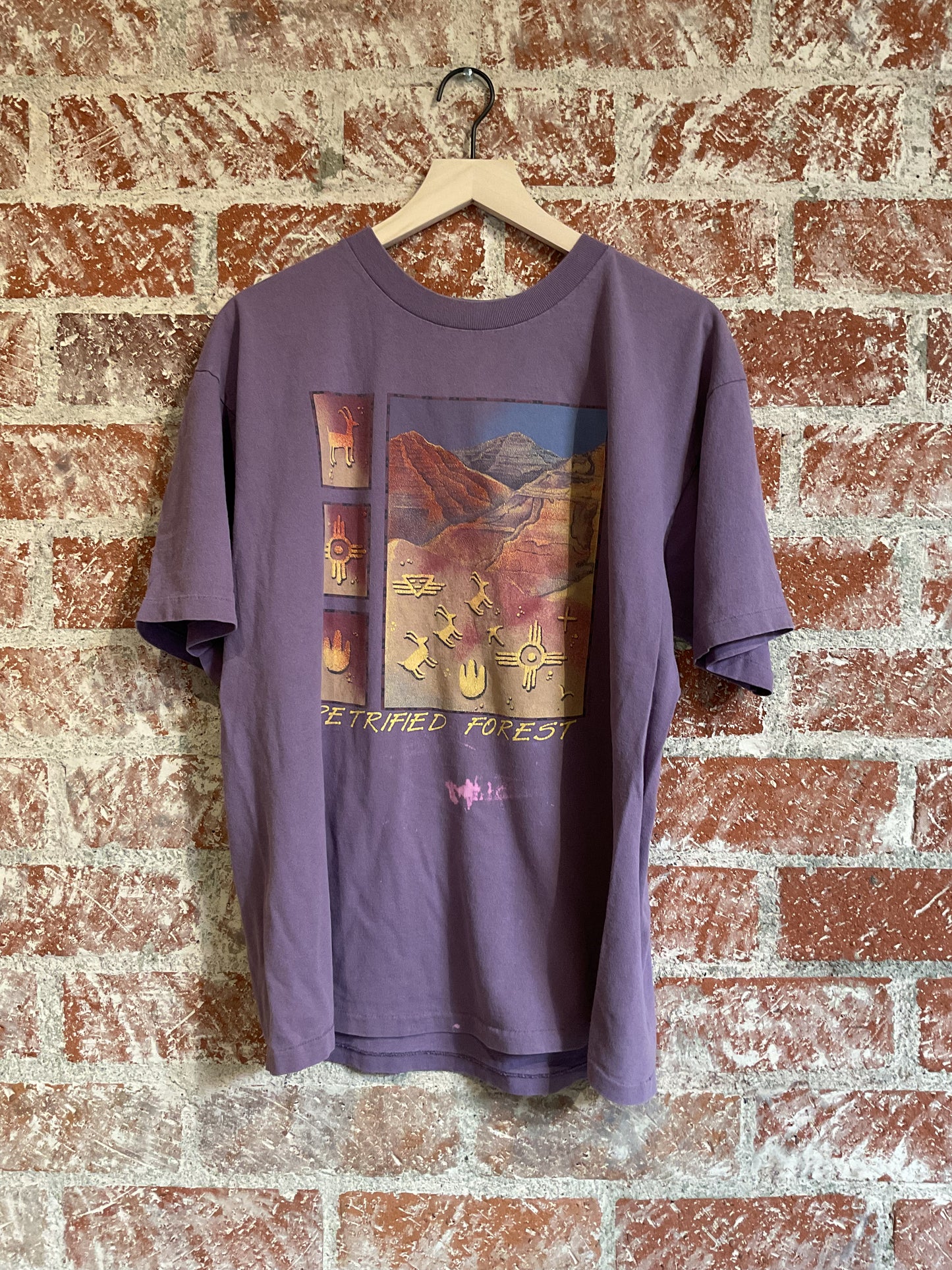 Vintage Tee: Petrified Forest, AZ