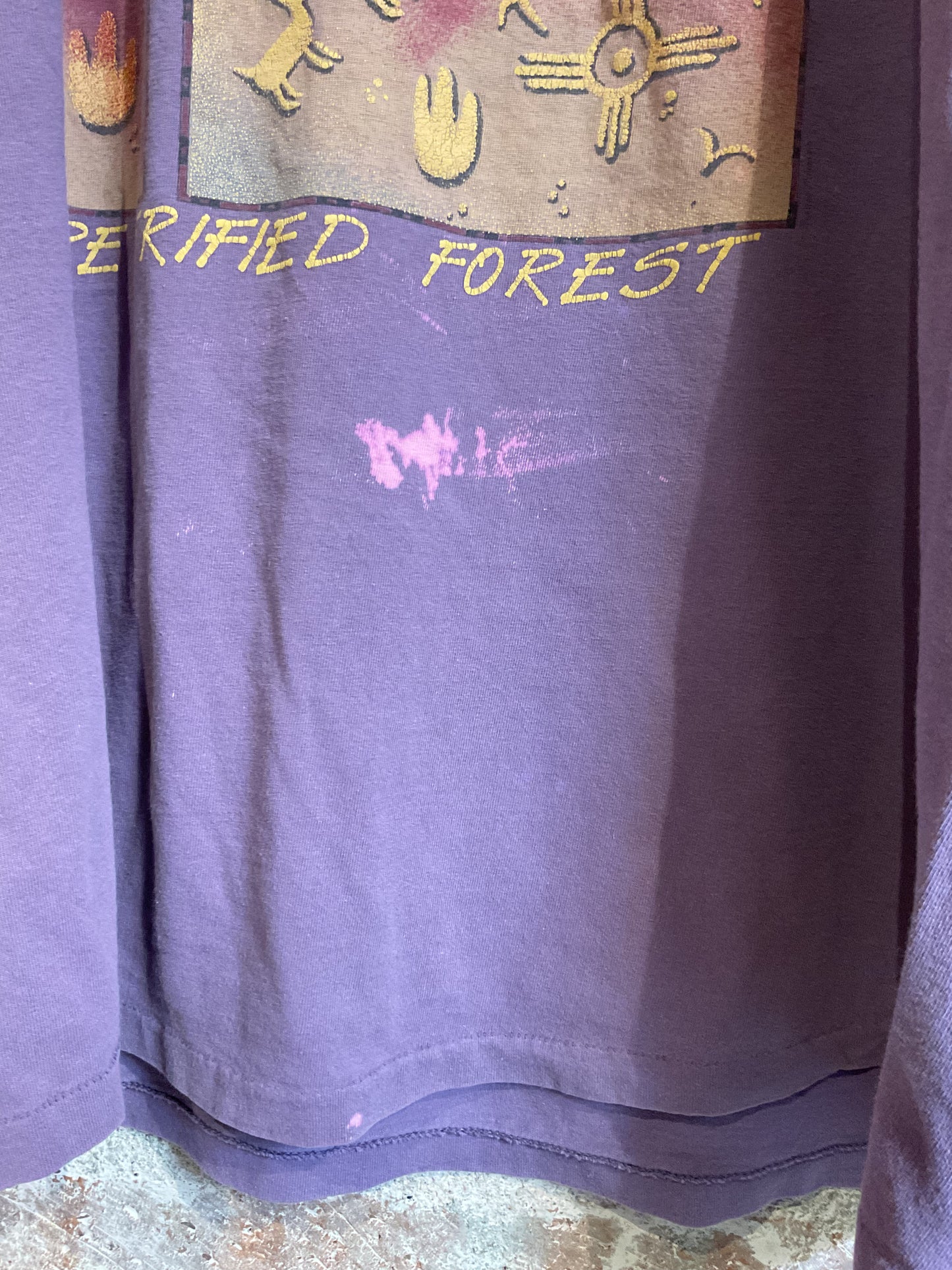 Vintage Tee: Petrified Forest, AZ