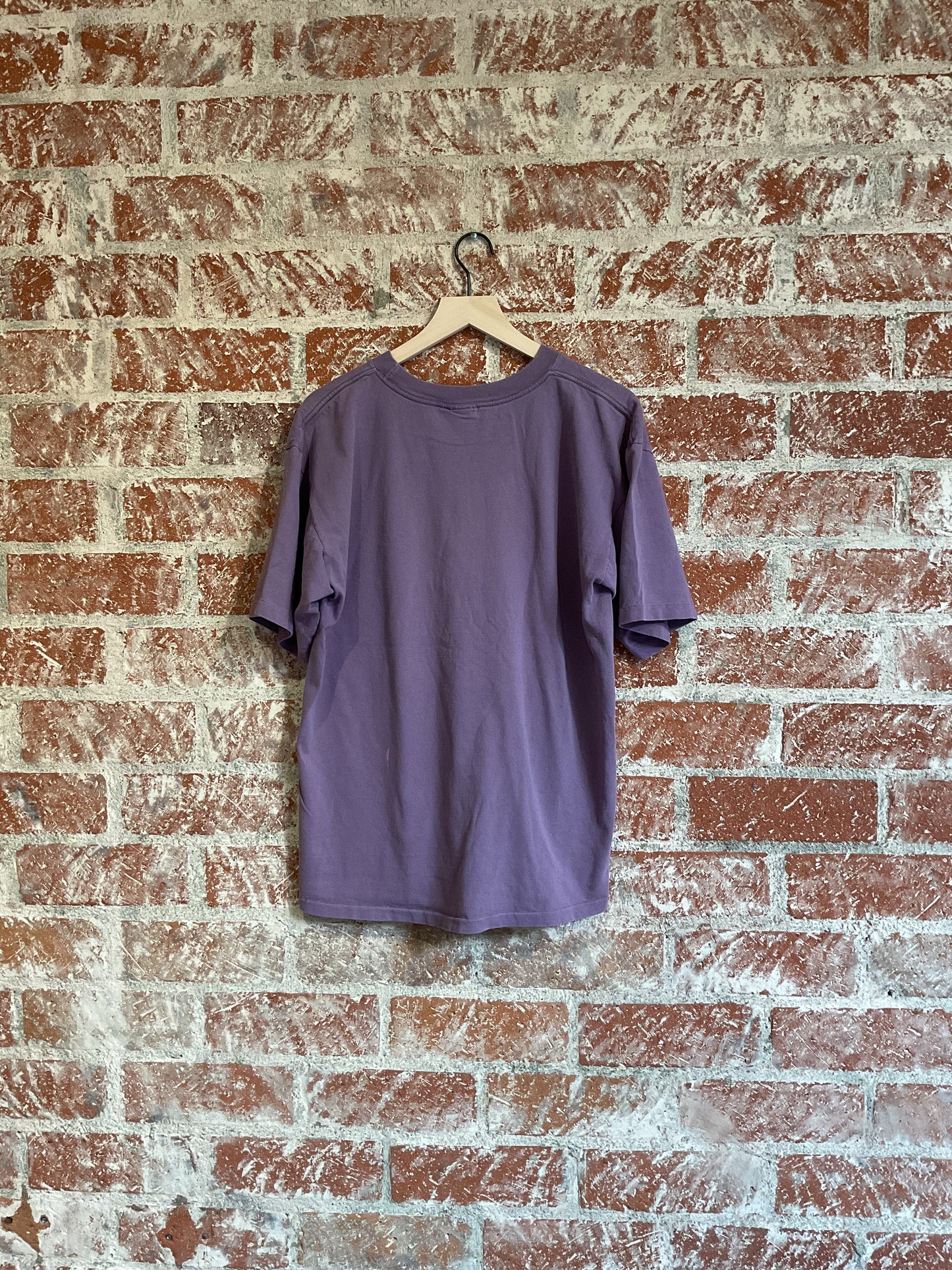 Vintage Tee: Petrified Forest, AZ