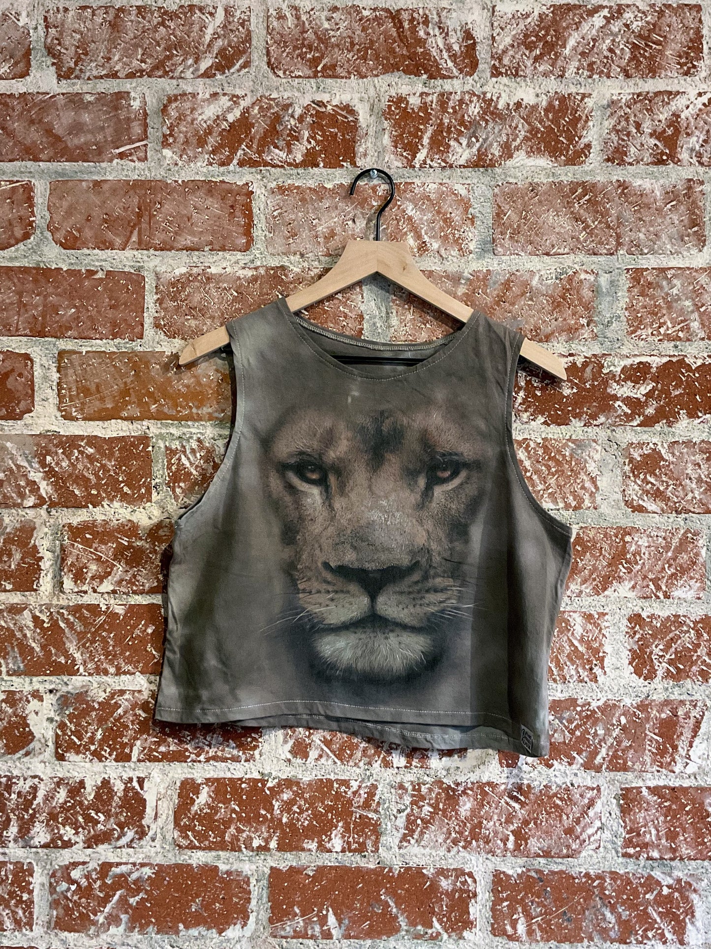 Remade Tank M: Lion Face