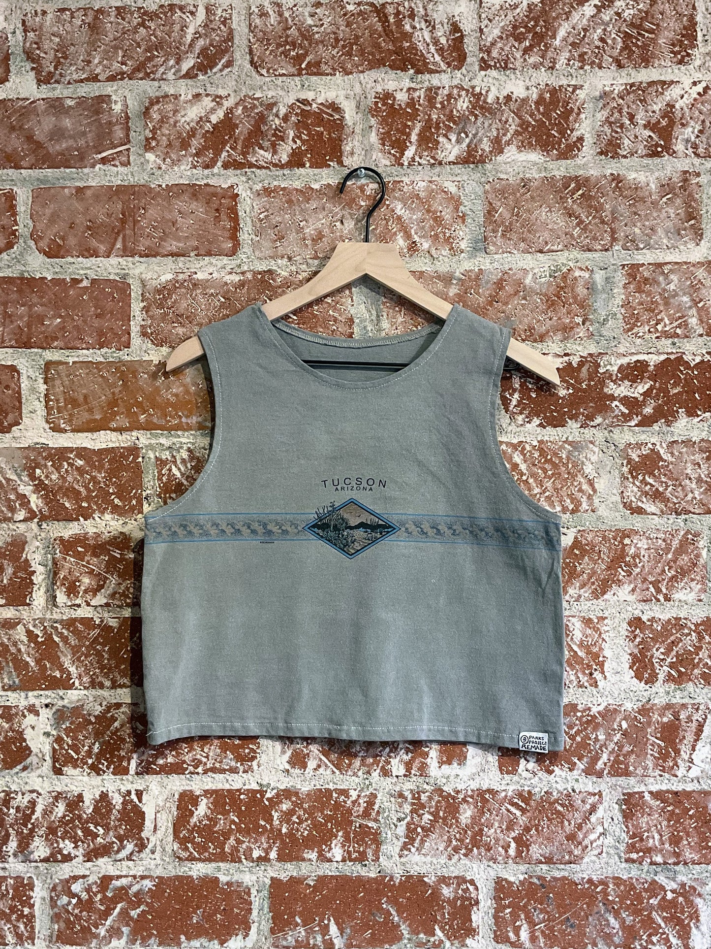 Remade Tank S: Tucson Desertscape