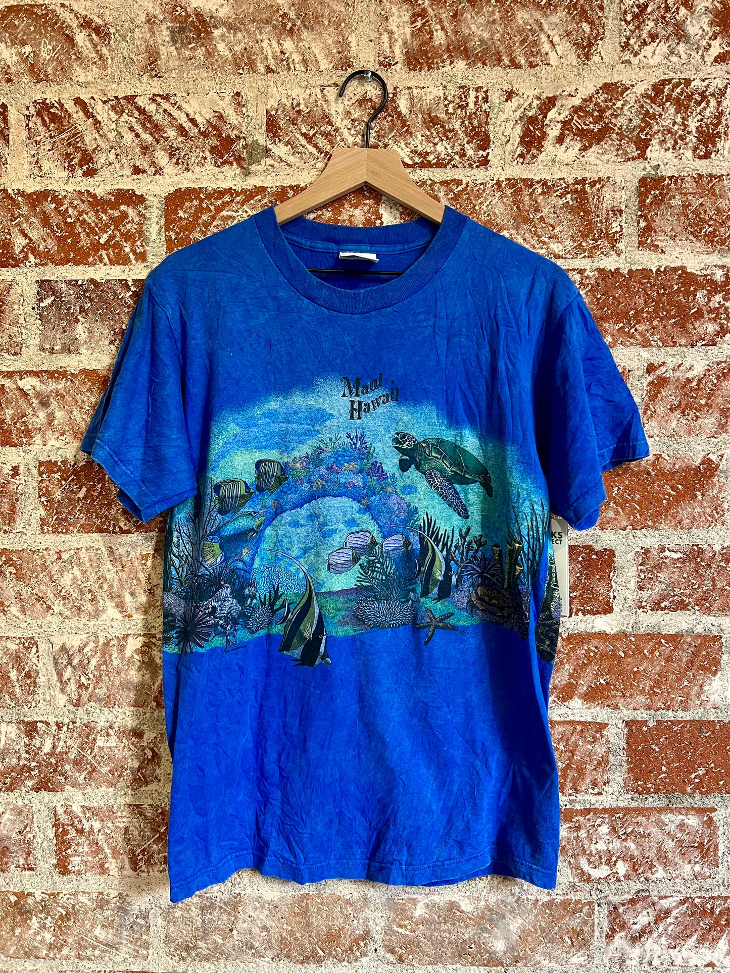 Vintage Tee: Maui Seascape