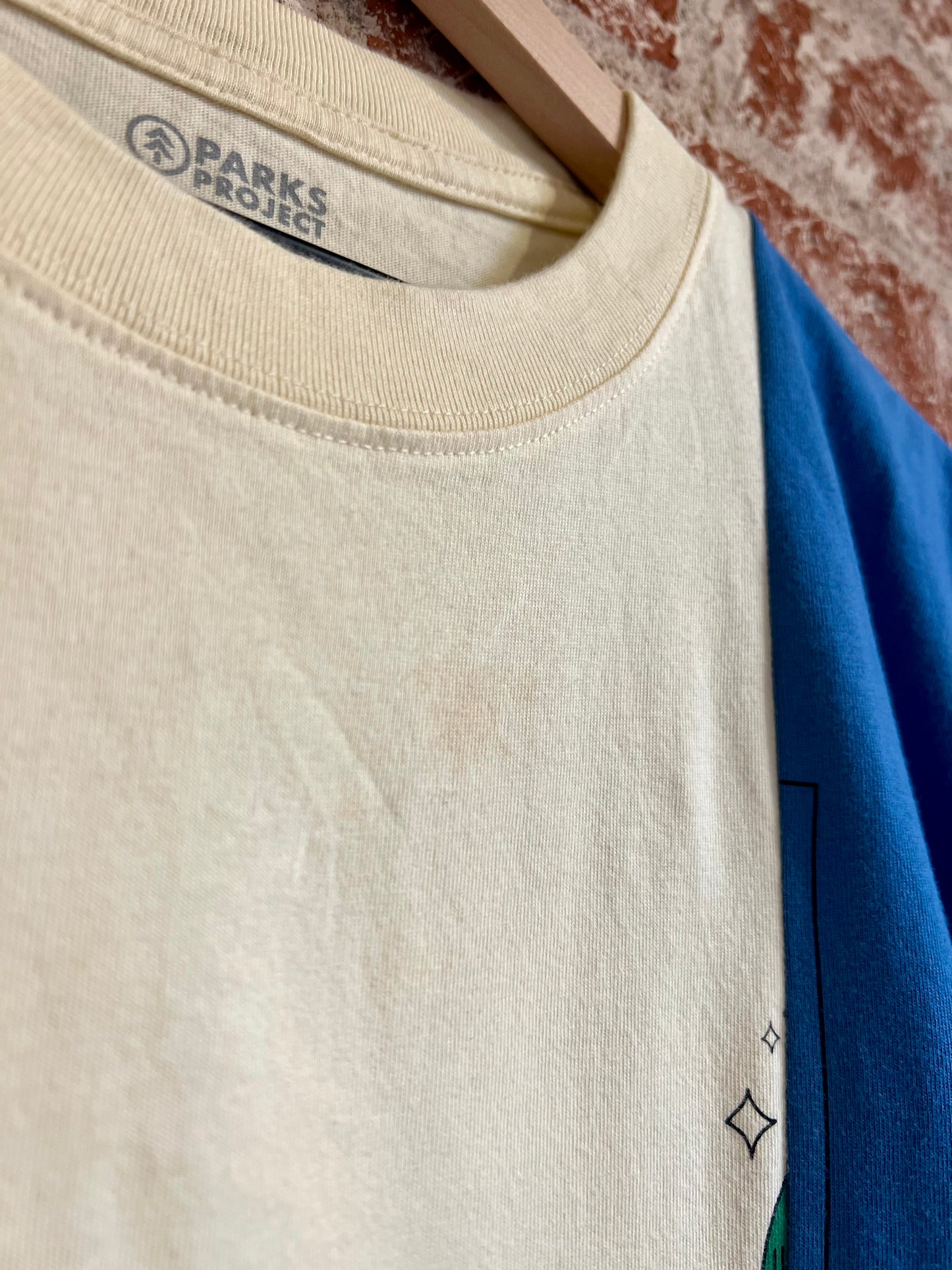 Remade Tee: Dancin' Frogs Checklist