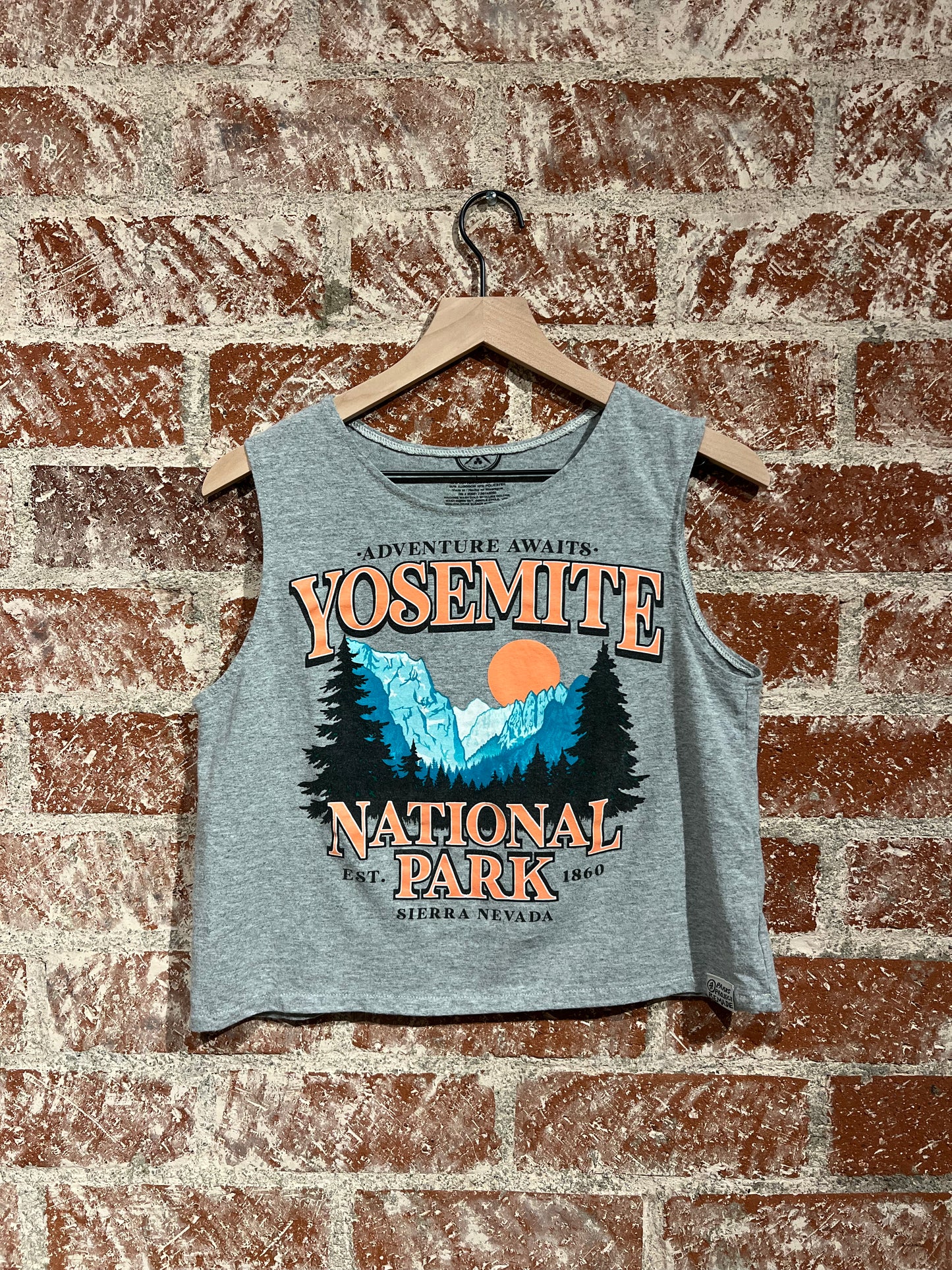 Remade Tank S: Yosemite National Park