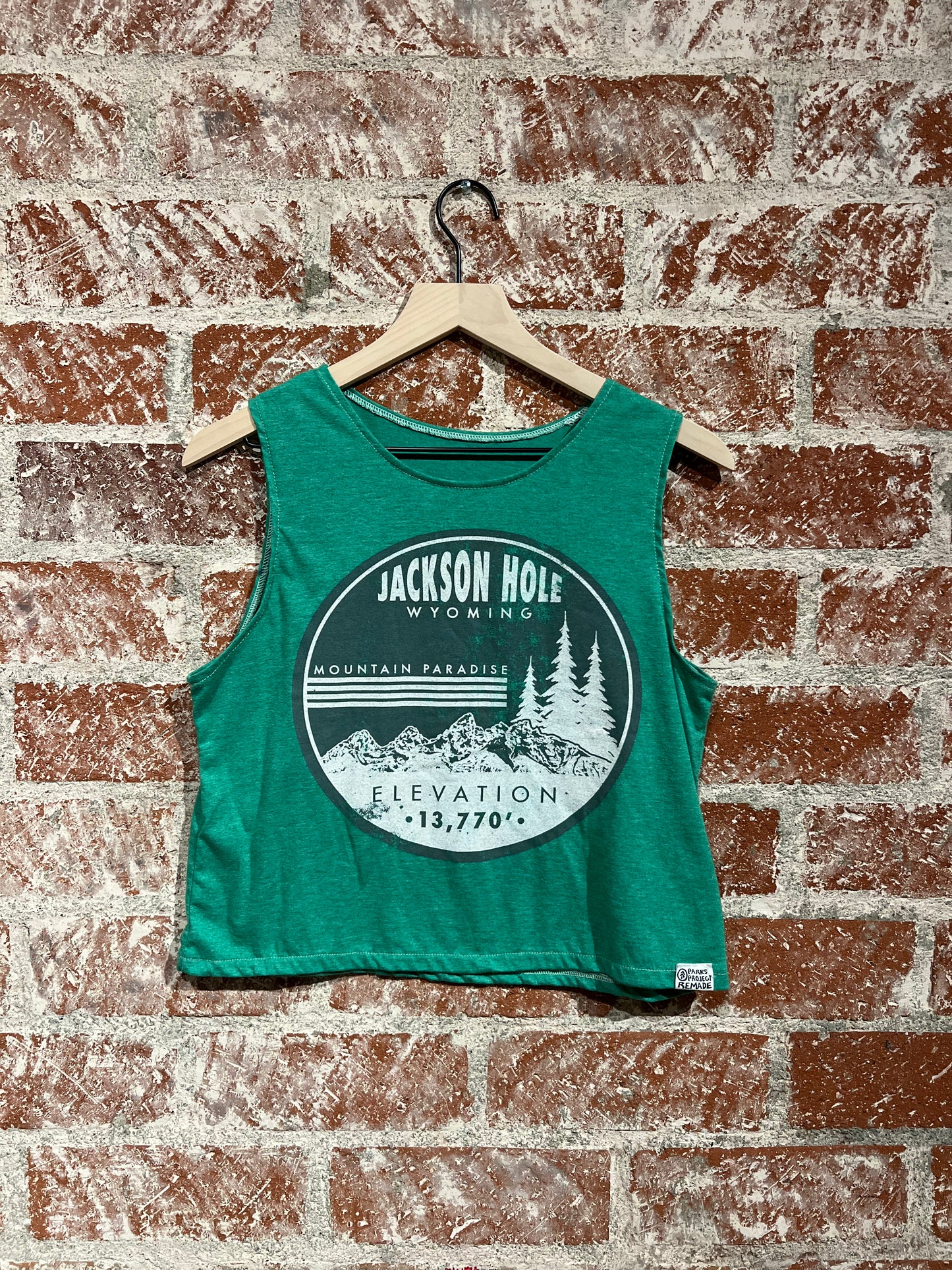 Remade Tank S: Jackson Hole Mountain Paradise