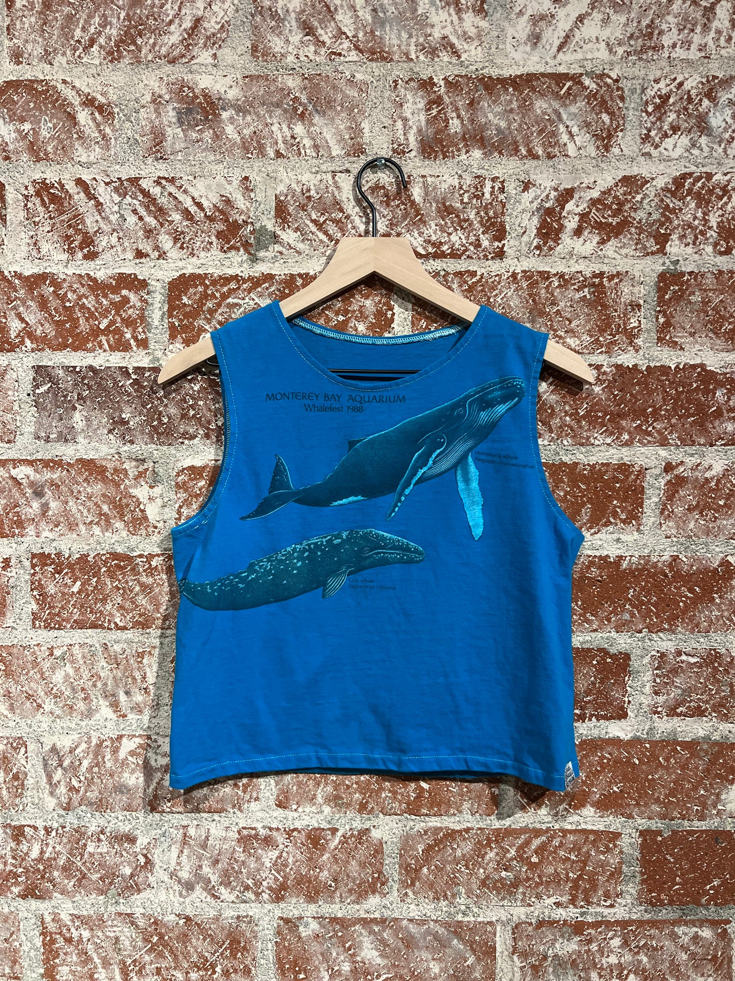 Remade Tank S: Monterey Bay Whalefest 1988