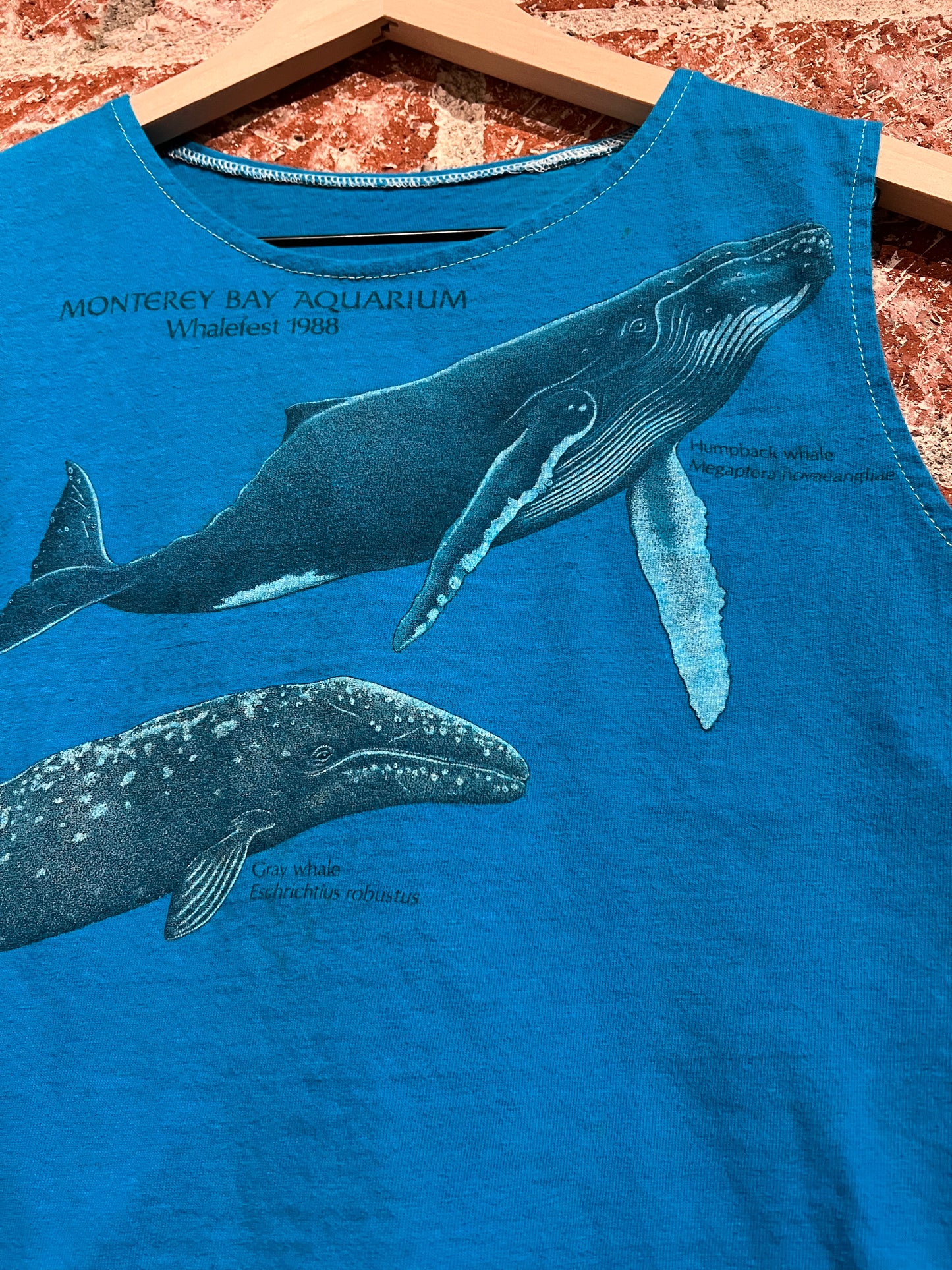 Remade Tank S: Monterey Bay Whalefest 1988