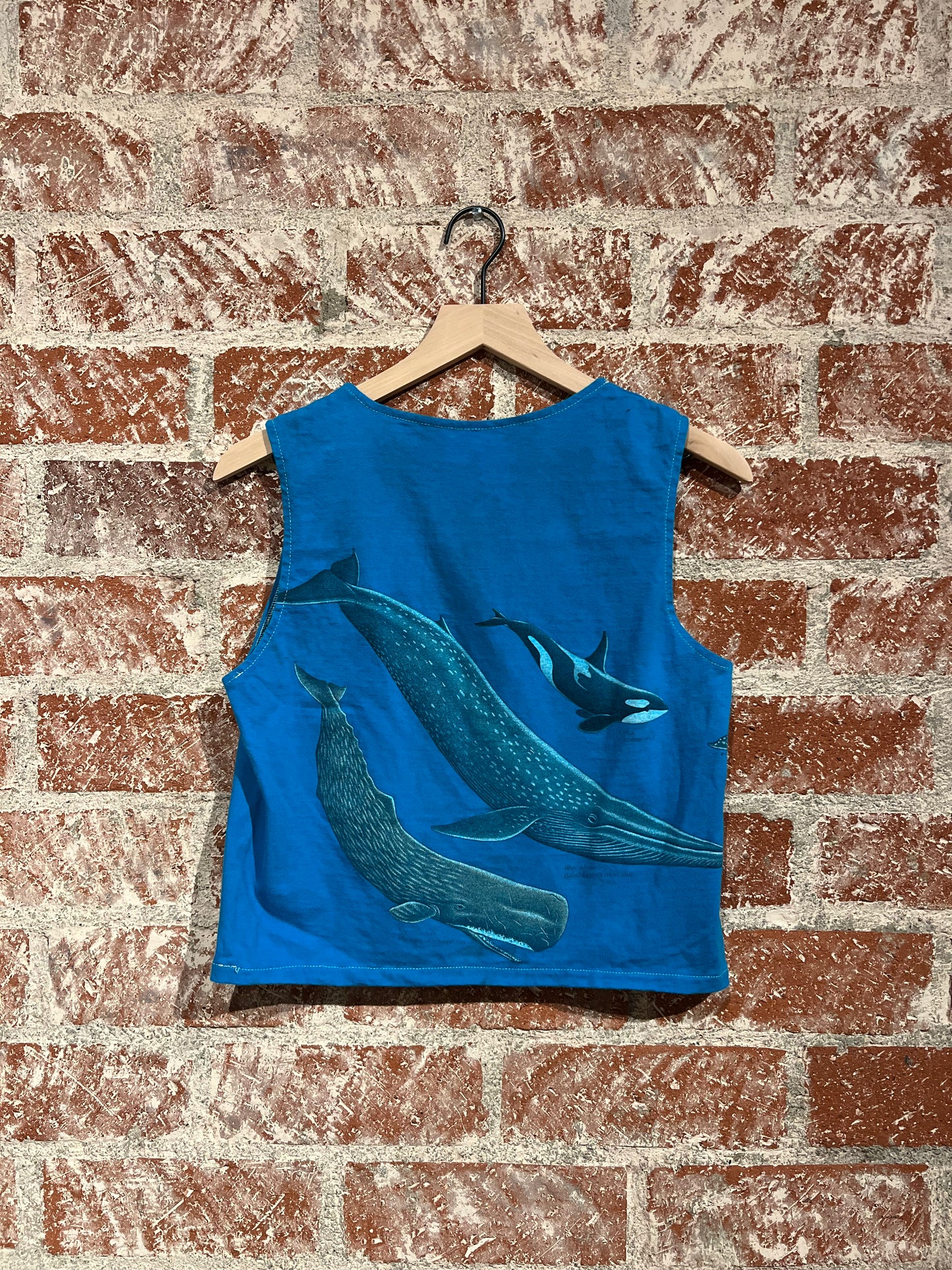 Remade Tank S: Monterey Bay Whalefest 1988