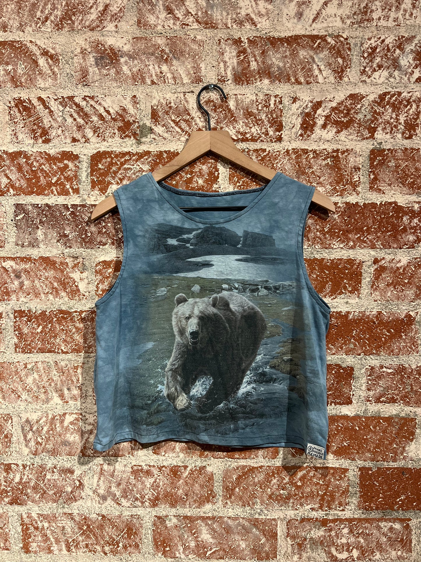 Remade Tank S: Bear Hunt