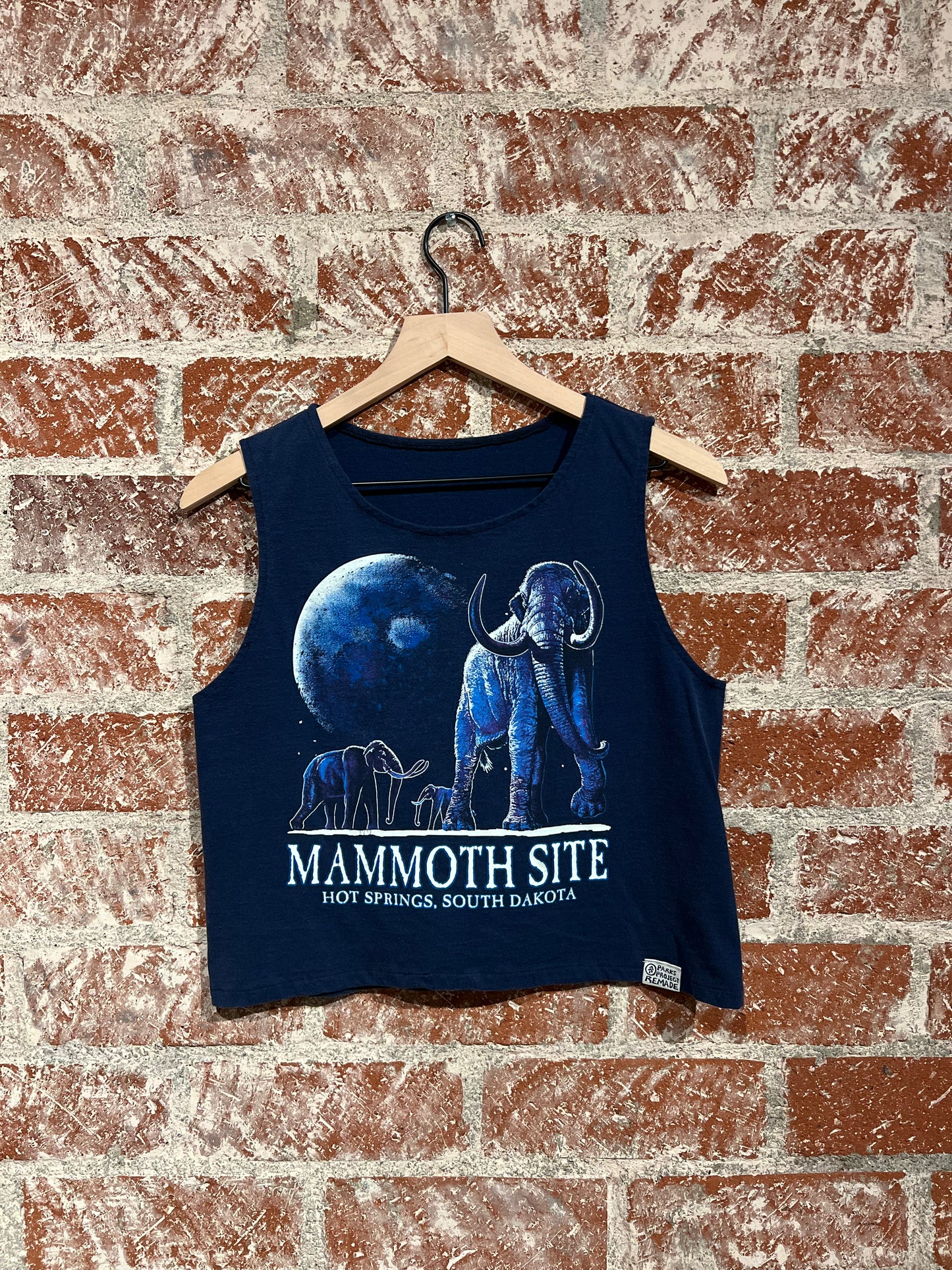 Remade Tank S: South Dakota Mammoth Site
