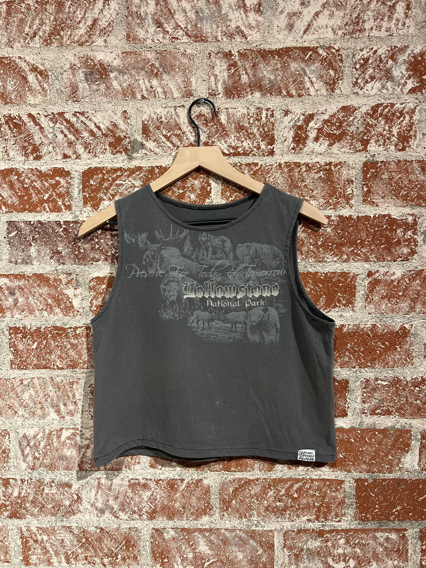 Remade Tank M: Yellowstone Today and Tomorrow