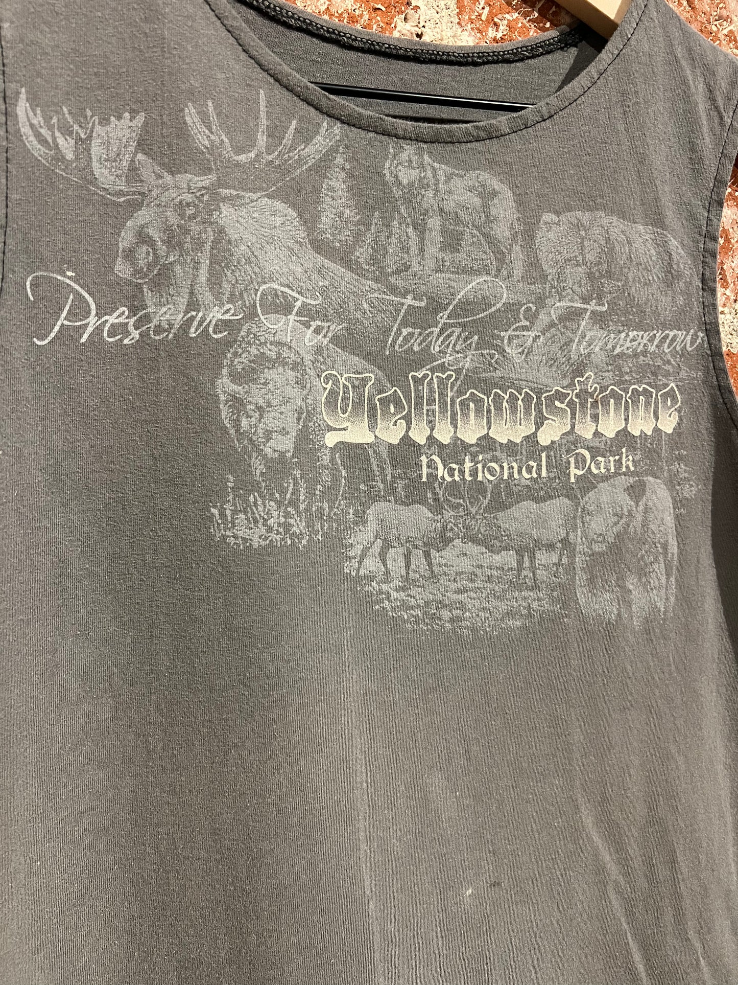 Remade Tank M: Yellowstone Today and Tomorrow