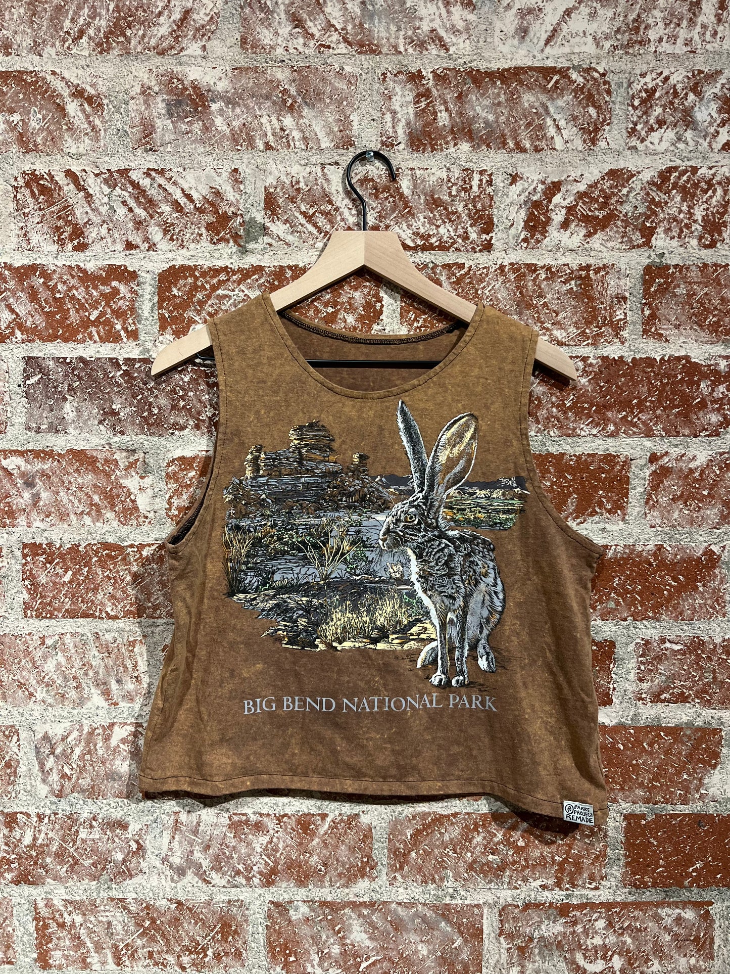 Remade Tank M: Big Bend National Park