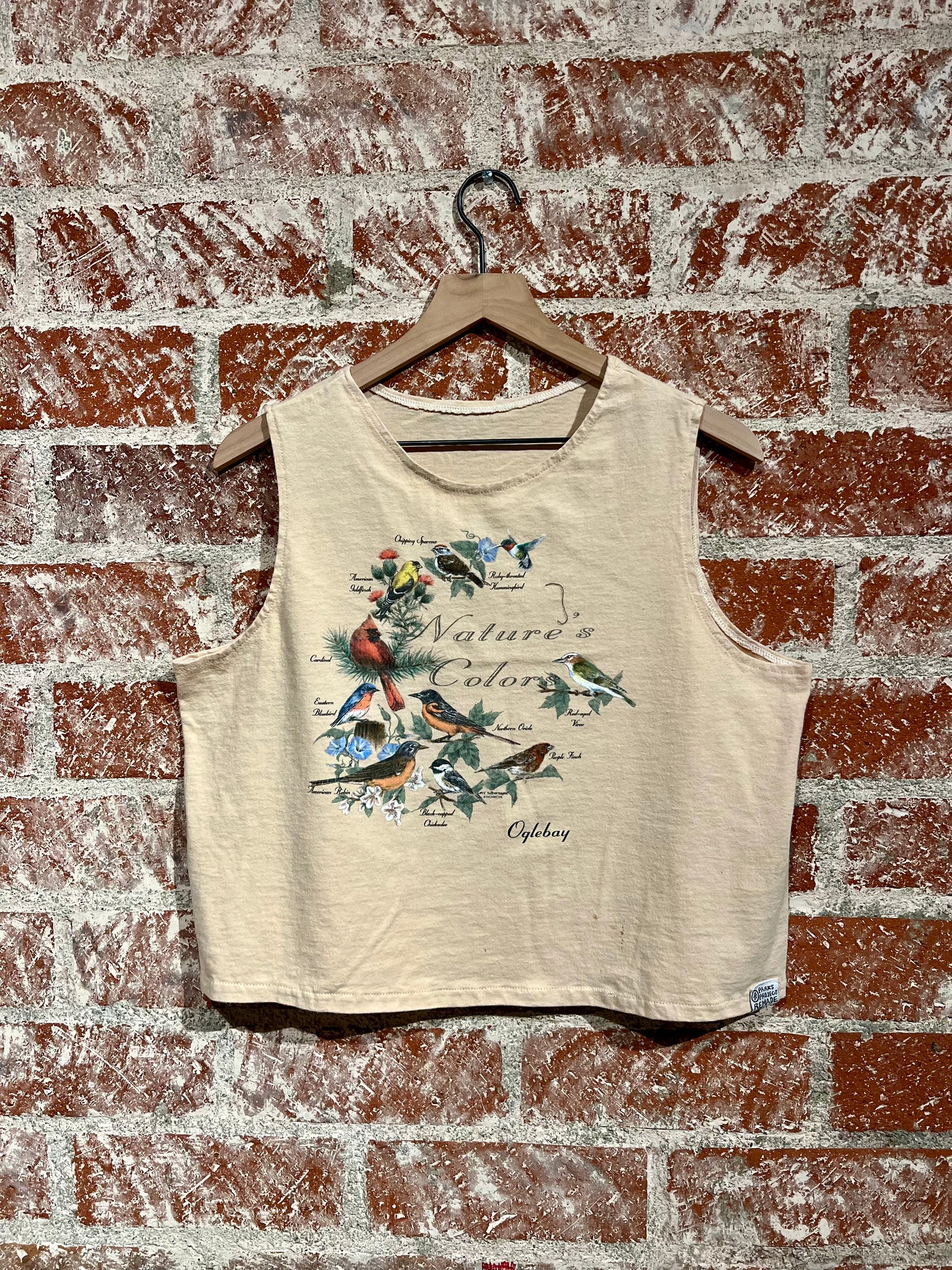 Remade Tank L: Oglebay Birds