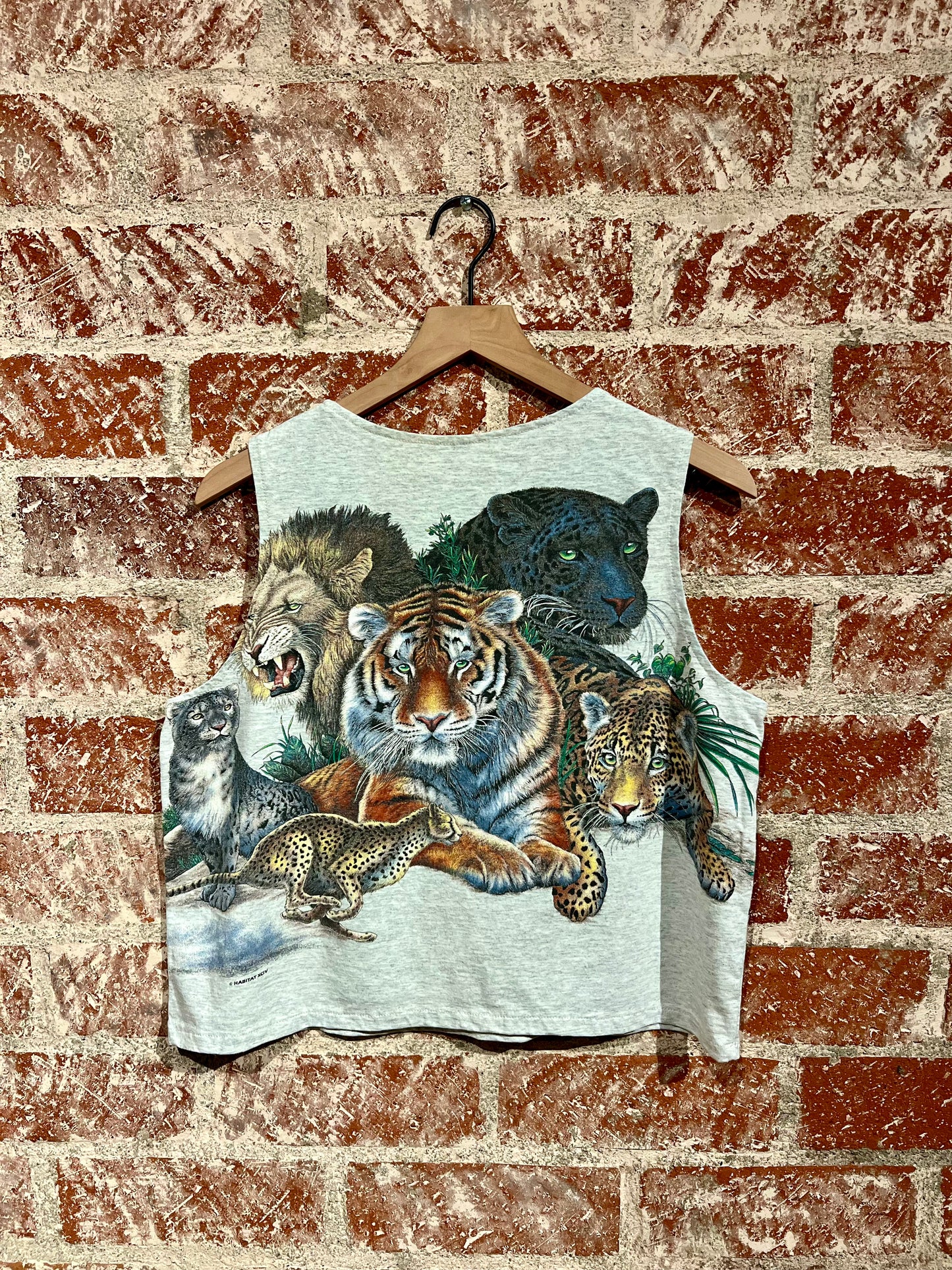 Remade Tank L: Wildcats
