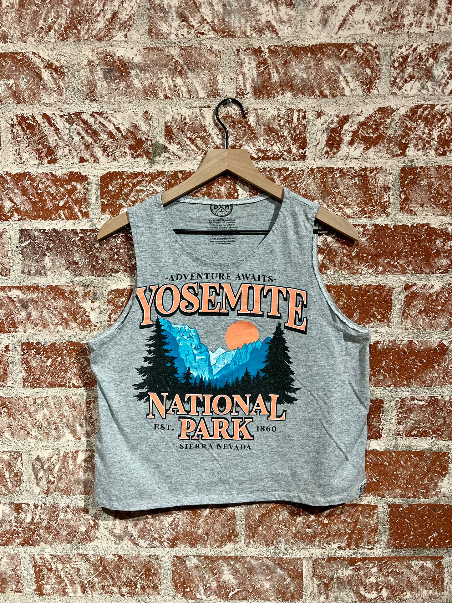 Remade Tank L: Adventure Awaits in Yosemite