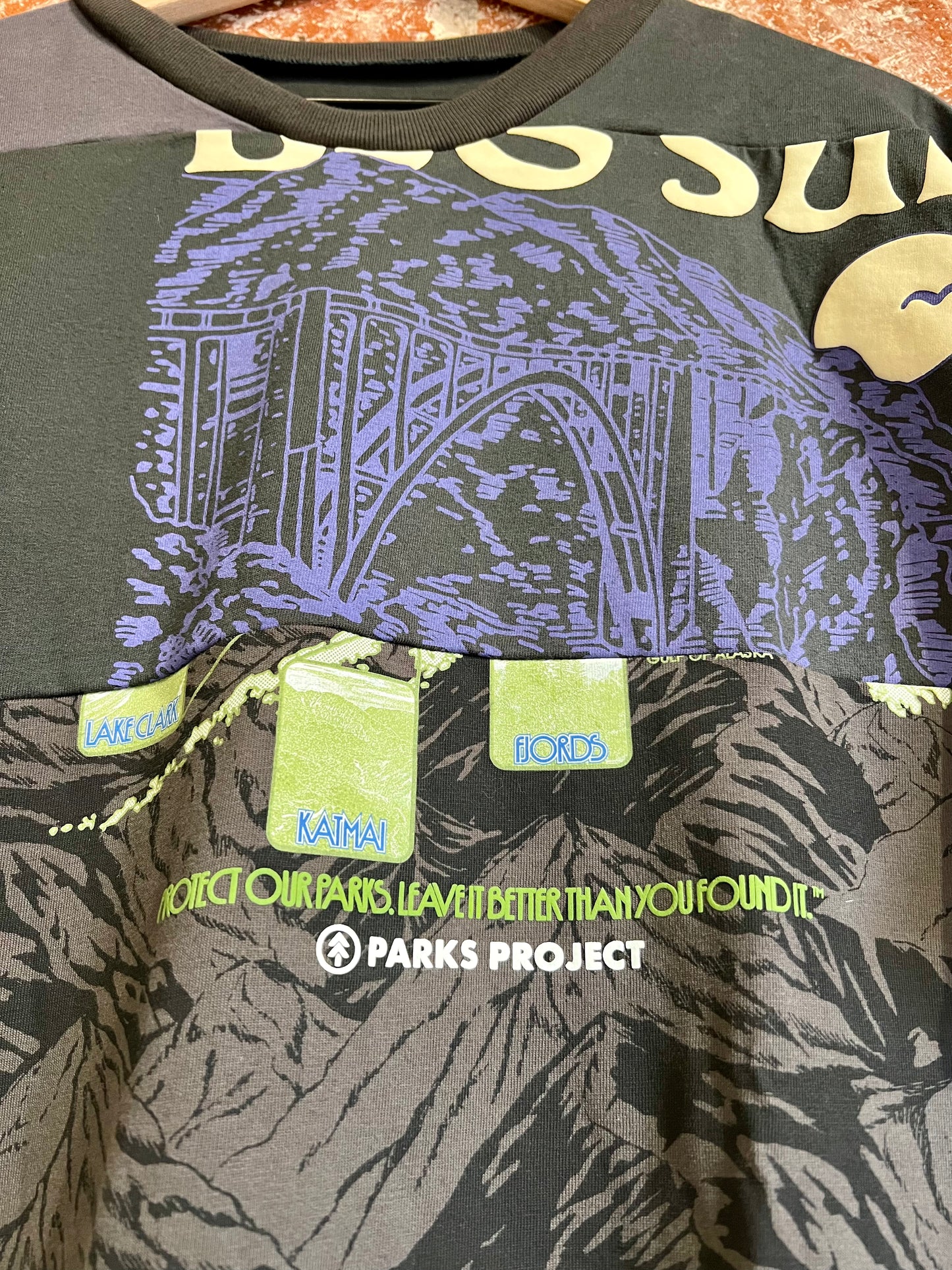 Remade Tee XXL: Big Sur Alaska Splice