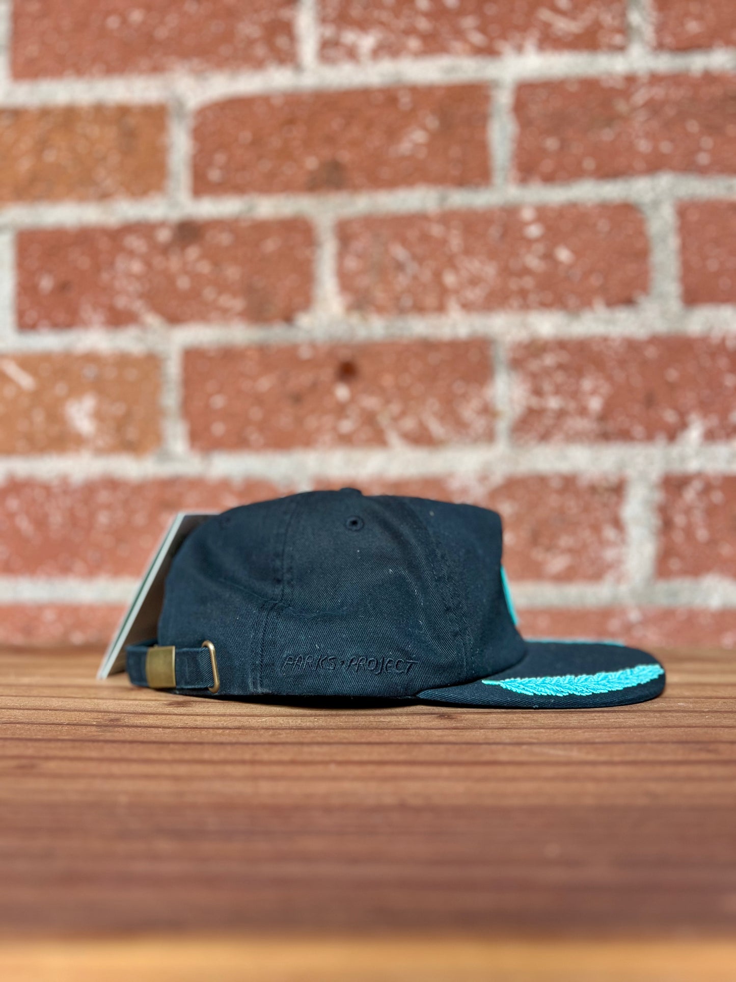 Vintage Hat: Parks Project Tahoe