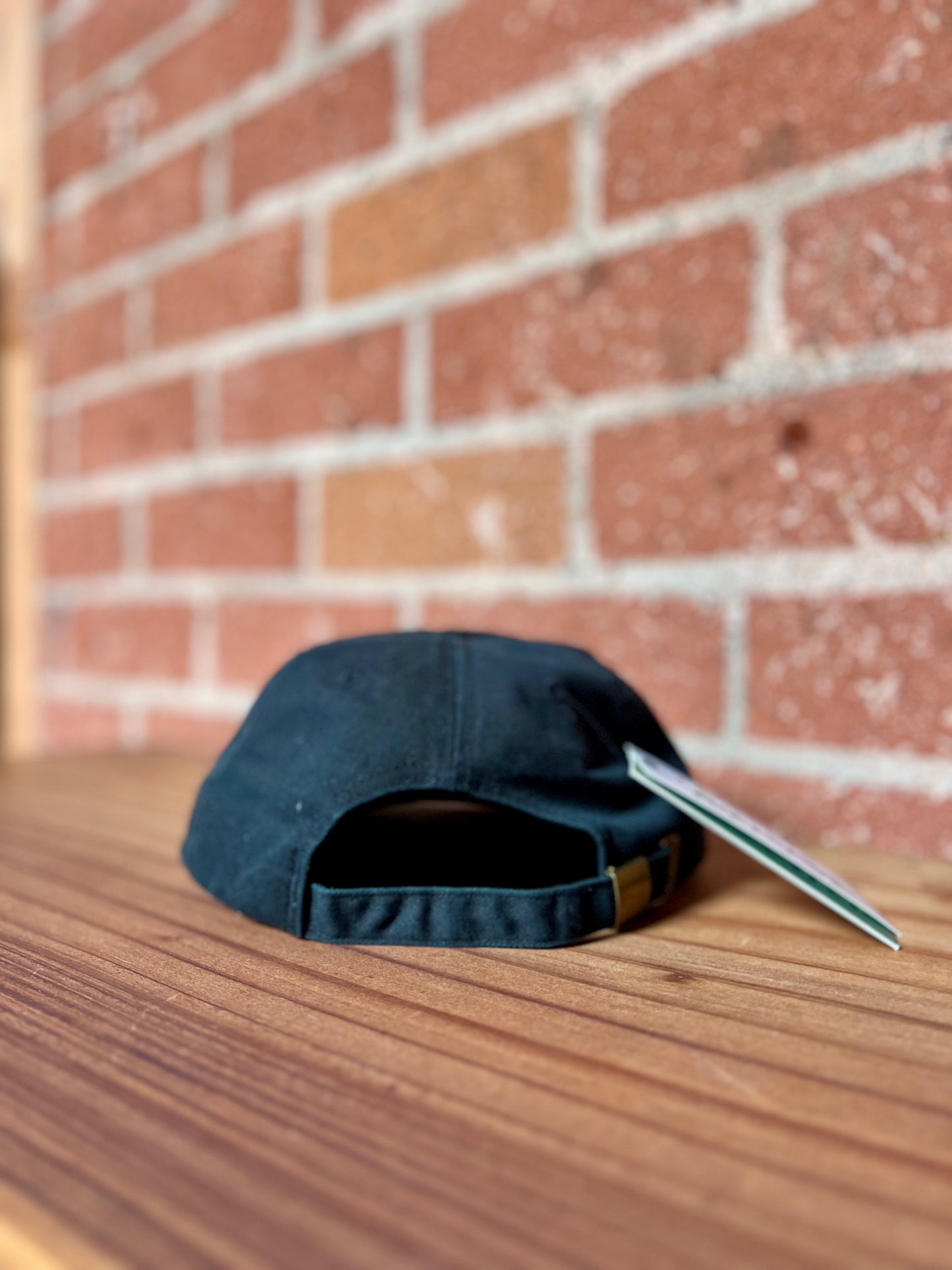 Vintage Hat: Parks Project Tahoe