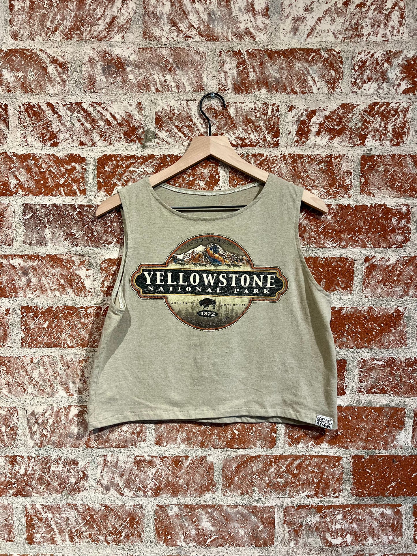 Remade Tank S: Yellowstone National Park