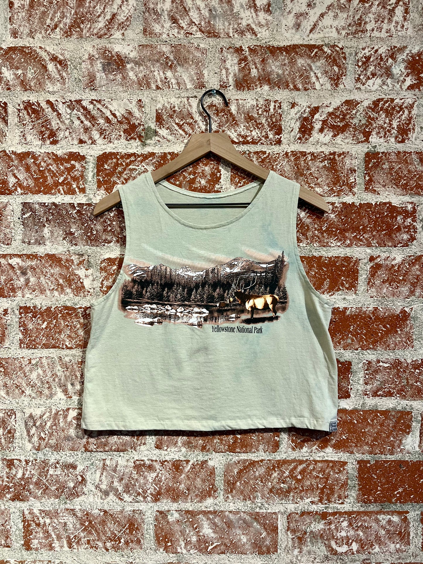 Remade Tank S: Yellowstone Range