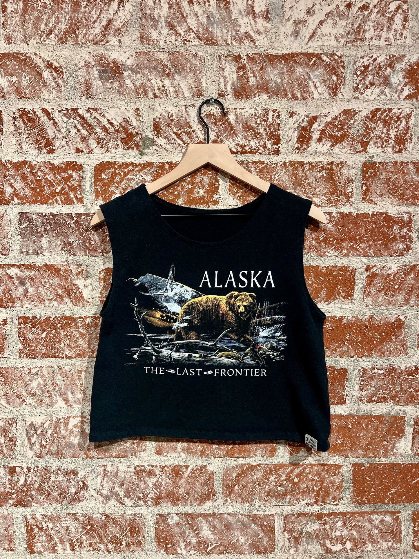 Remade Tank S: Alaska Last Frontier