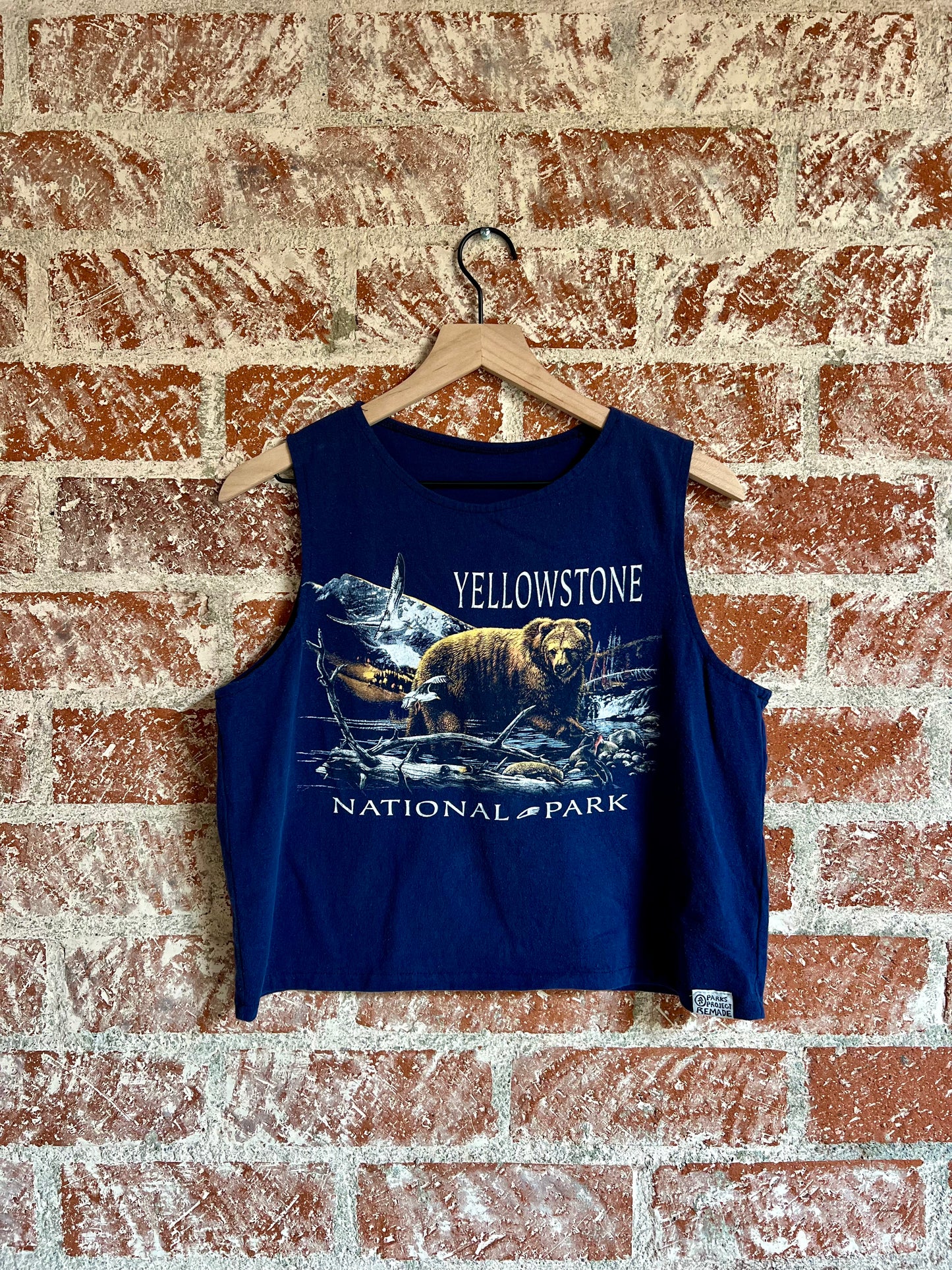 Remade Tank M: Yellowstone National Park