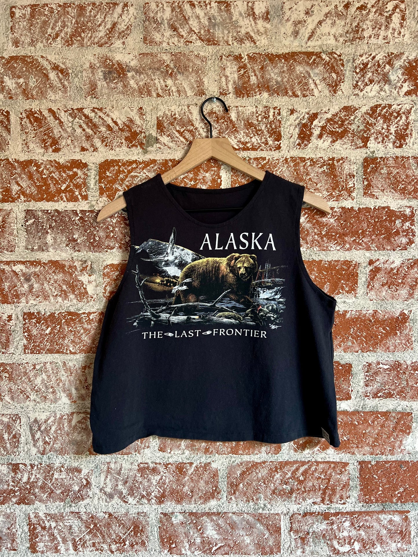 Remade Tank M: Alaskan Frontier